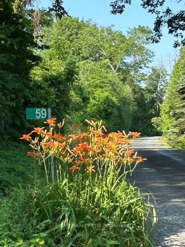 59 Bishop Lane, Prince Edward County 2