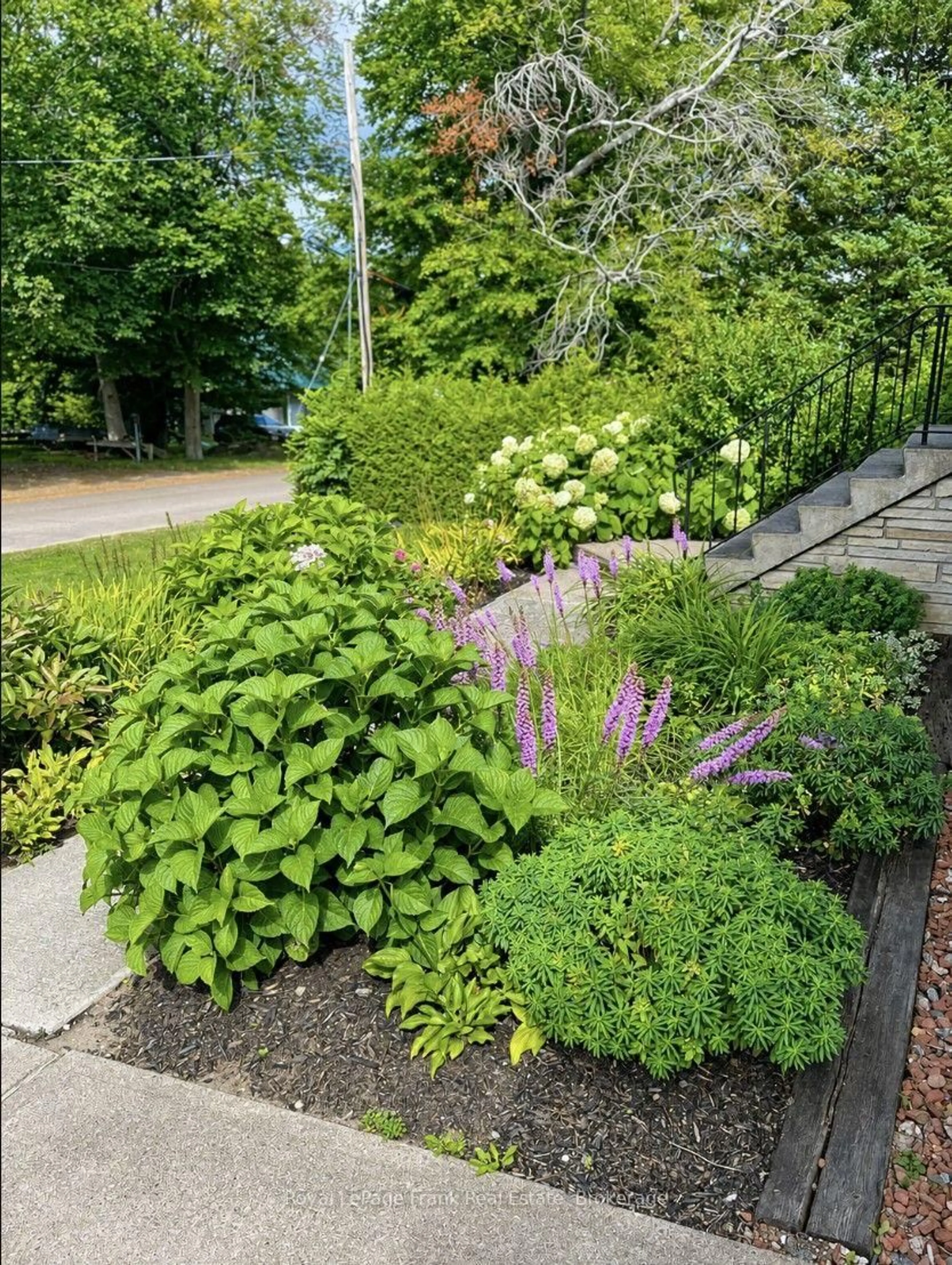 Patio, street for 127 Bridge St, Bancroft Ontario K0L 1C0