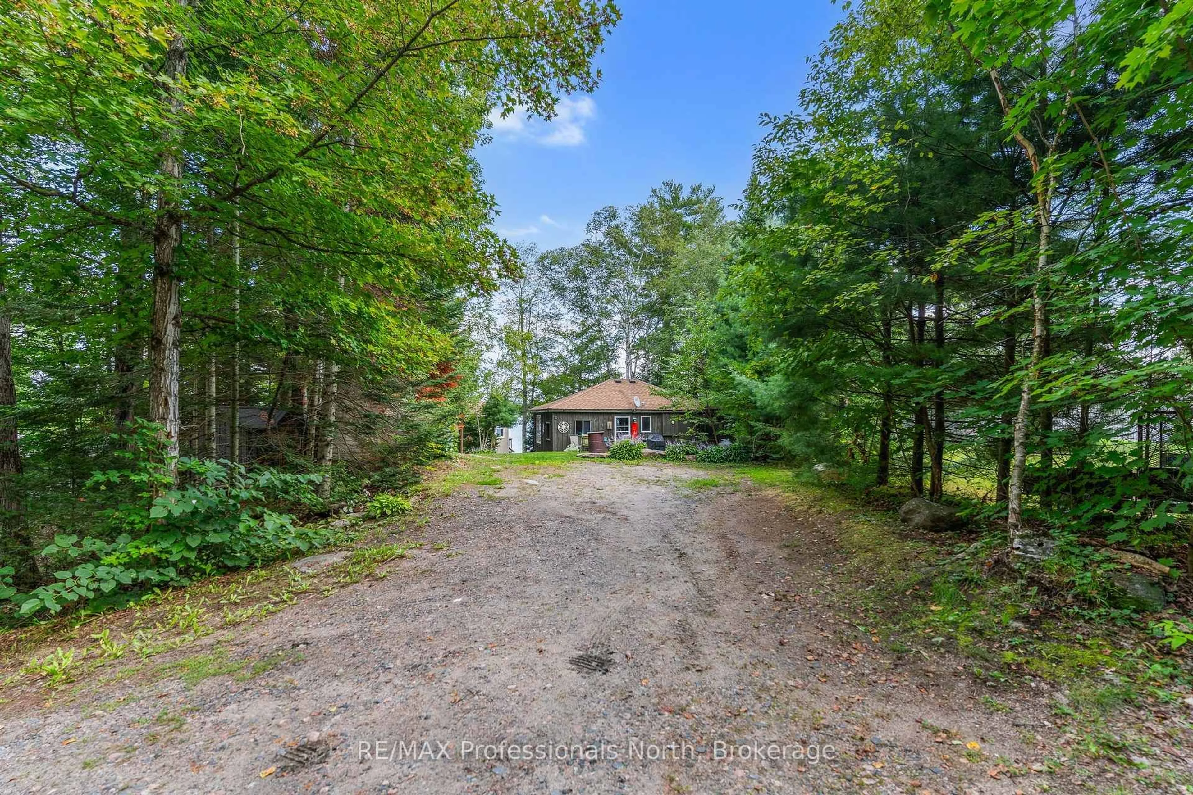 A pic from outside/outdoor area/front of a property/back of a property/a pic from drone, forest/trees view for 17306 Highway 35 Highway, Algonquin Highlands Ontario K0M 1S0
