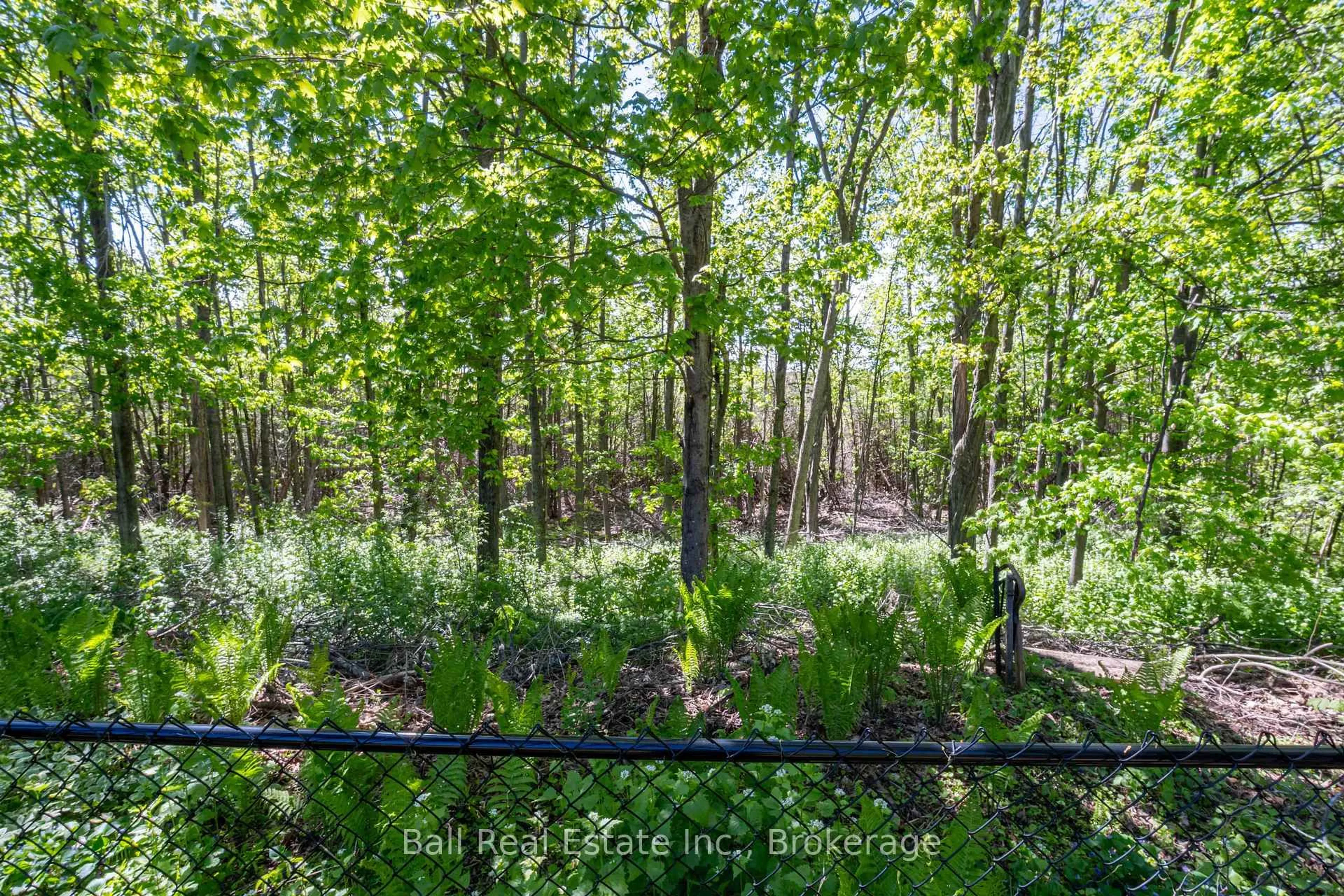 trreb/IMG-X13724656_1bf202b8-7602-47bb-9825-b290fb78fb42-l.jpg