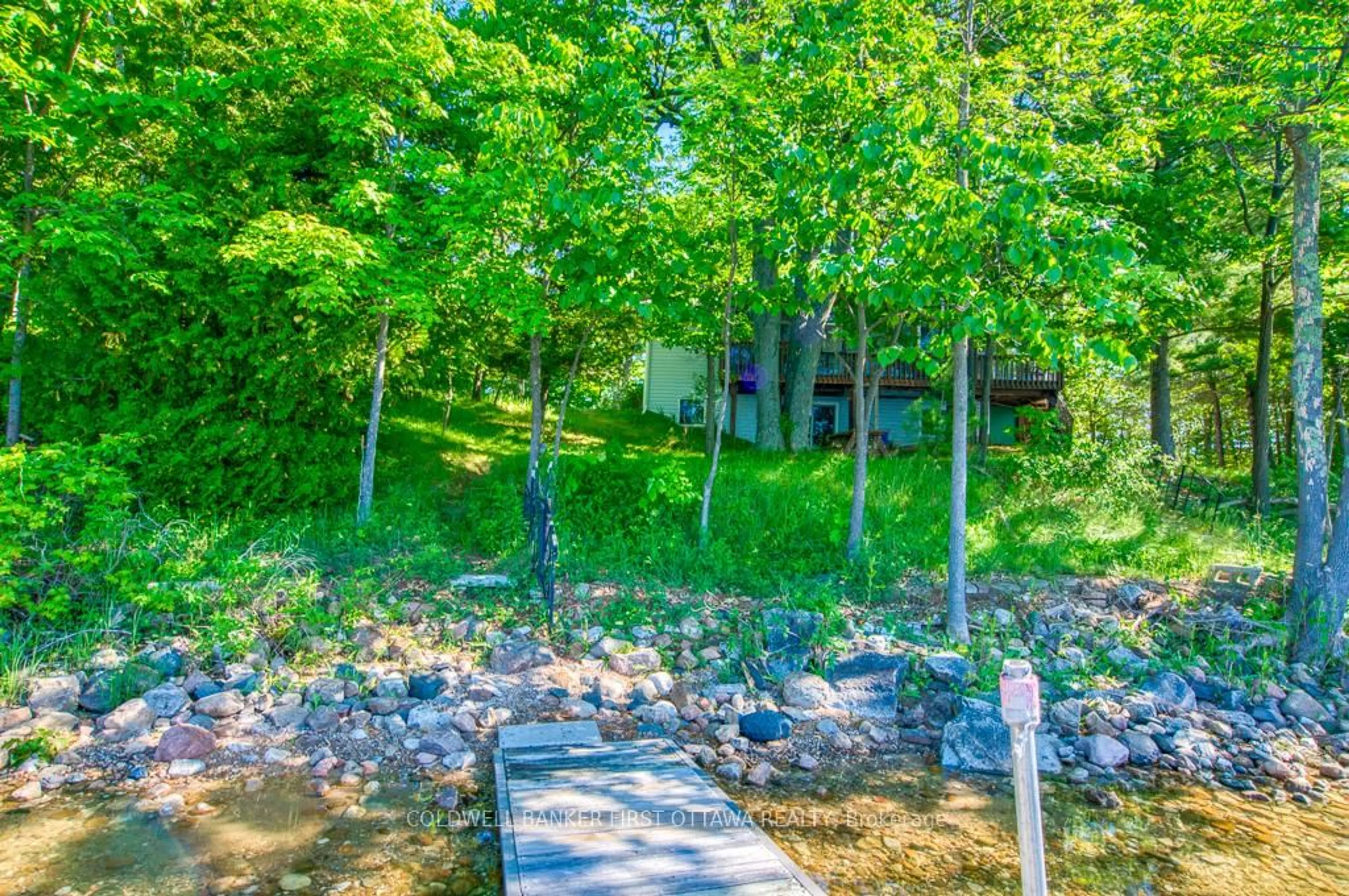 A pic from outside/outdoor area/front of a property/back of a property/a pic from drone, forest/trees view for 1301 D Guigue Rd, Sharbot Lake Ontario K0H 2P0