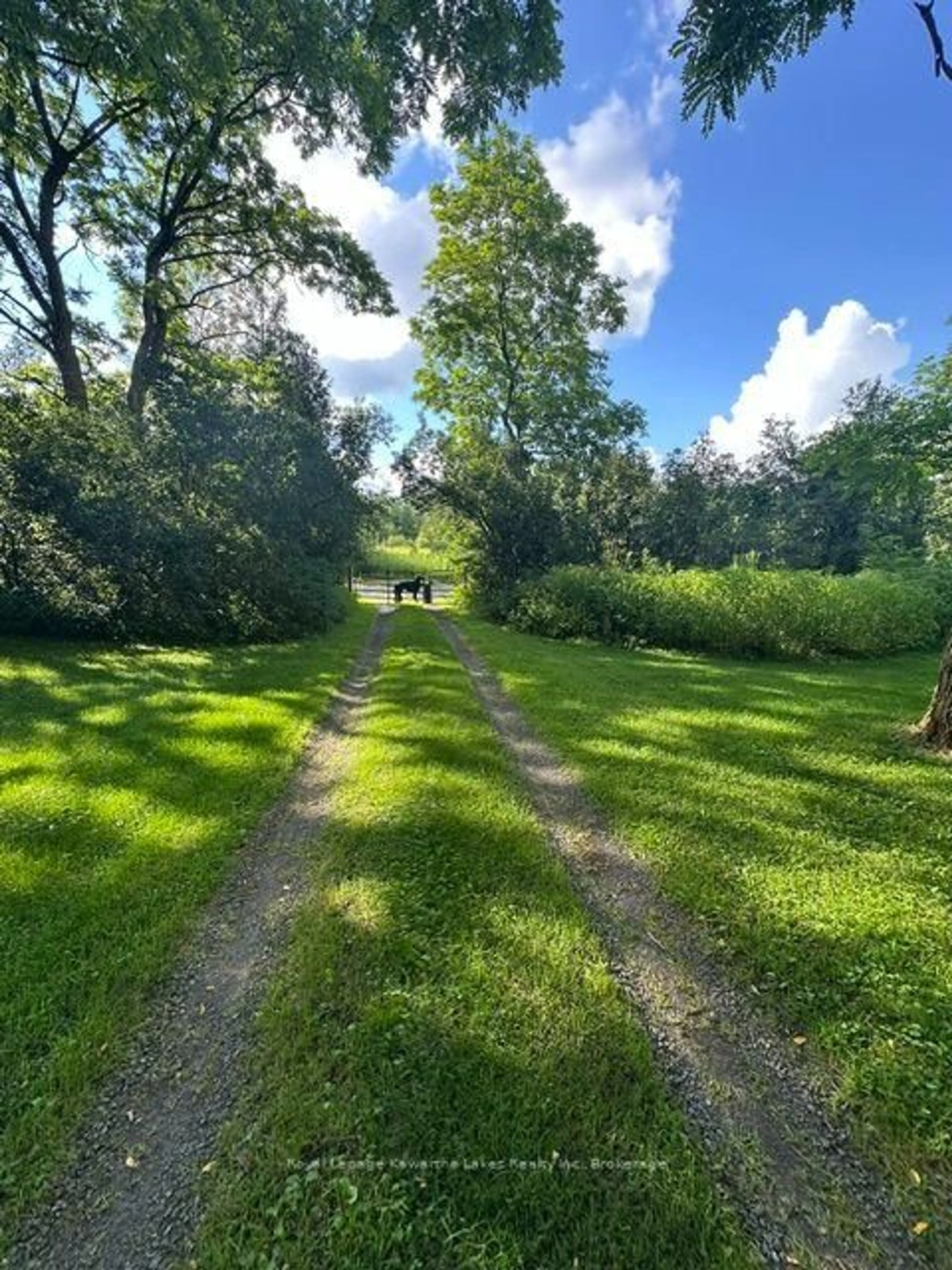 A pic from outside/outdoor area/front of a property/back of a property/a pic from drone, forest/trees view for 1817 Glen Smail Rd, Prescott Ontario K0E 1T0