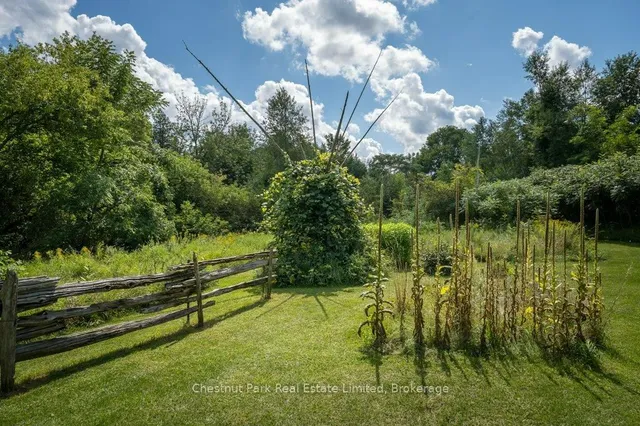 324 Declair Rd, Madoc 3