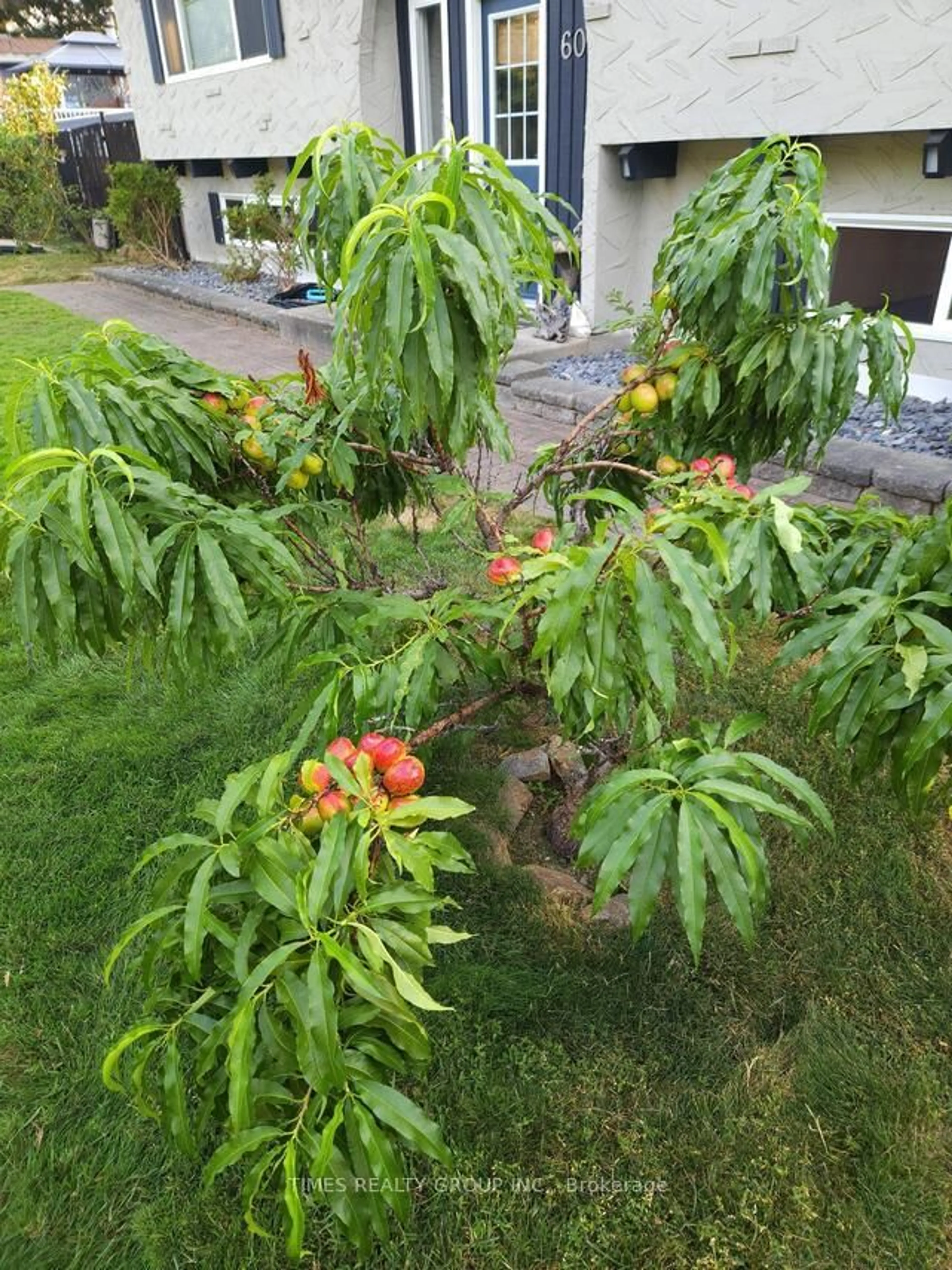 Unknown for 606 Gillis Ave, Out of Area British Columbia V0E 2V0
