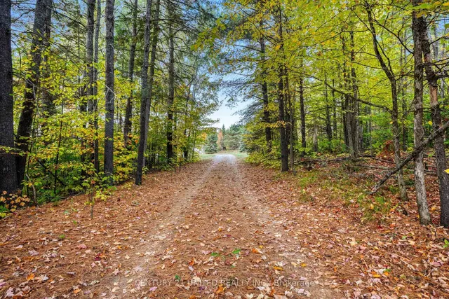 31 McLean Rd, Maple Leaf 3