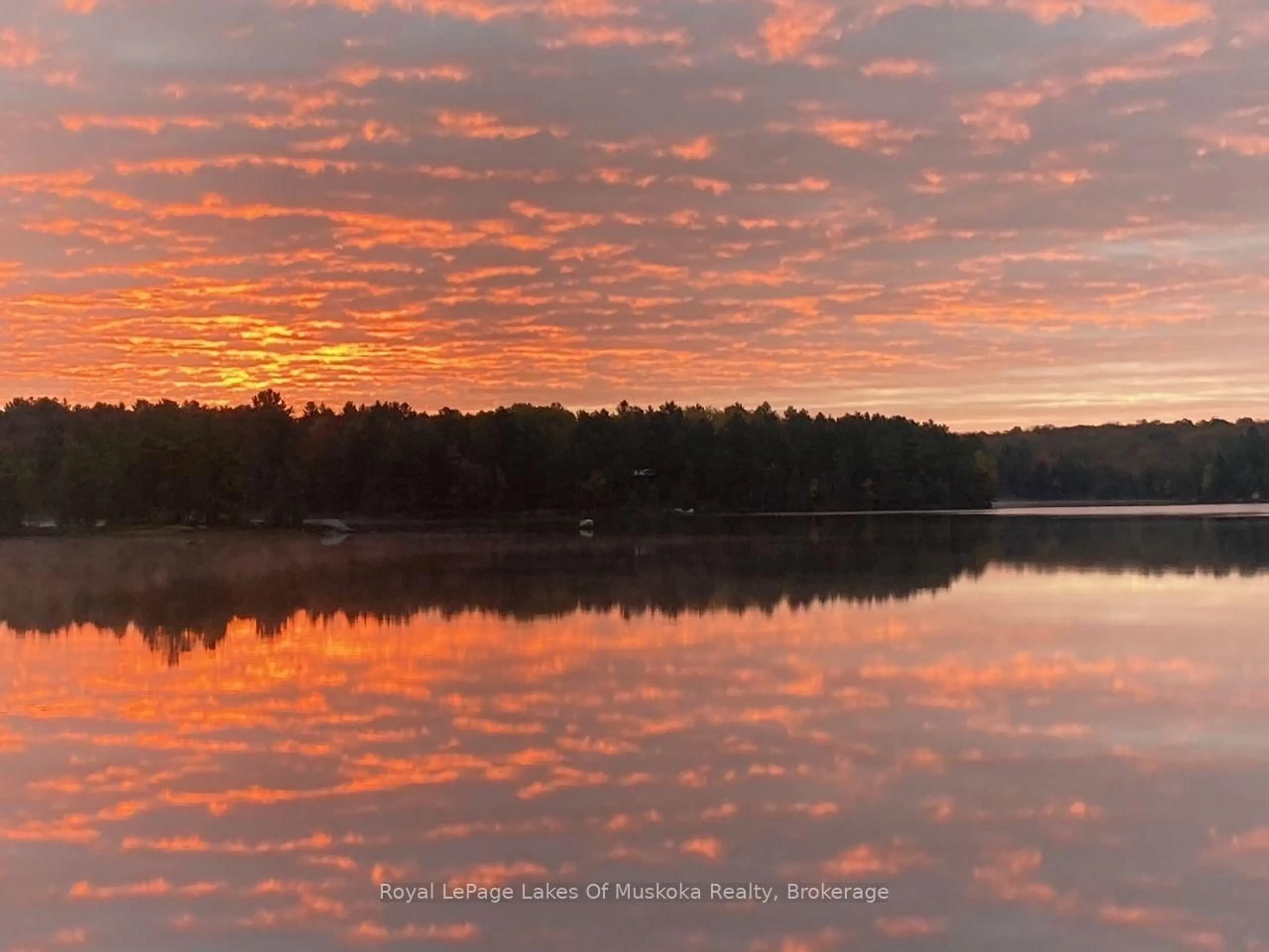 Blurry image for 1063 Dickie Lake Rd, Lake of Bays Ontario P0B 1A0