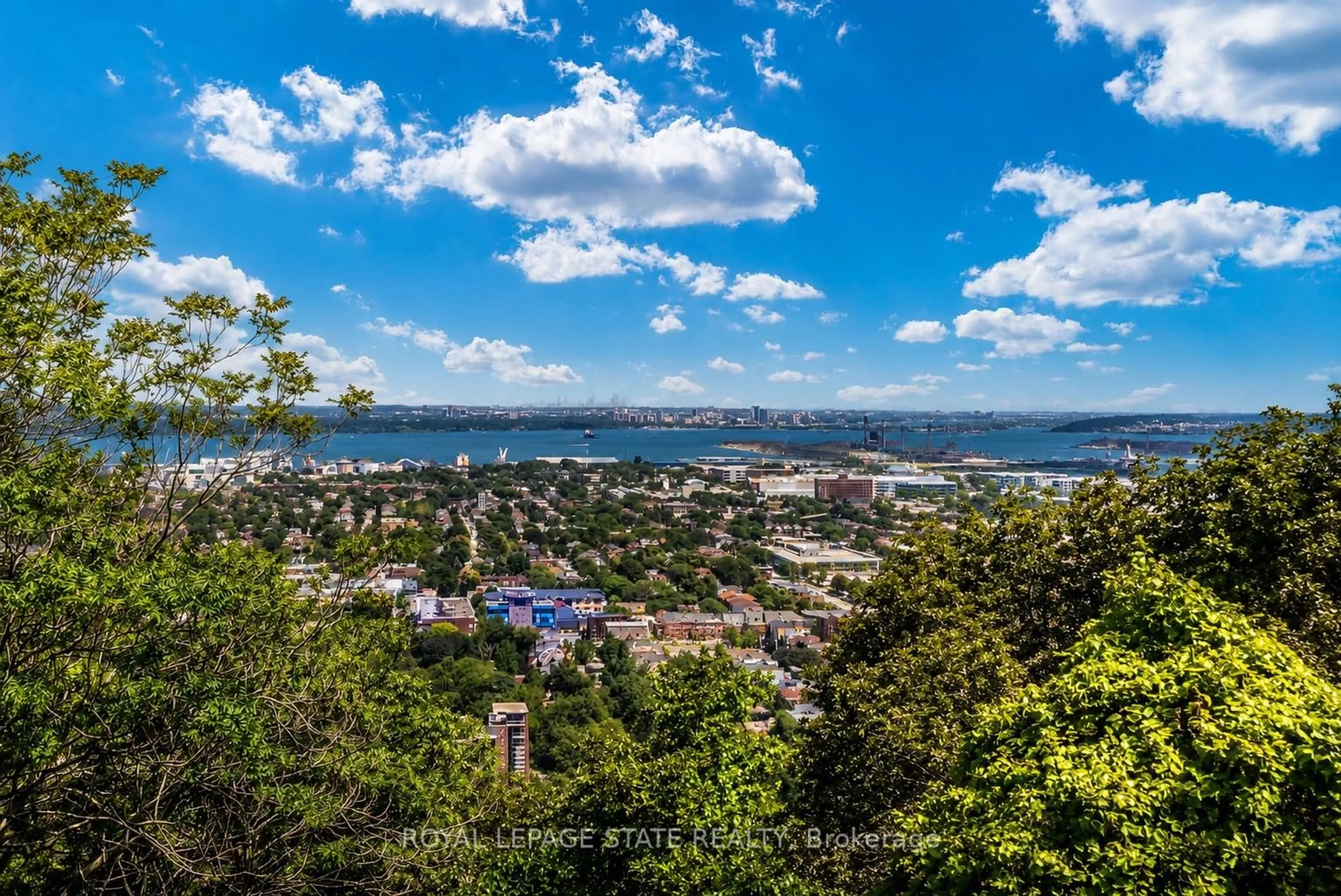 Unknown for 91 Mountain Park Ave, Hamilton Ontario L9A 1A1