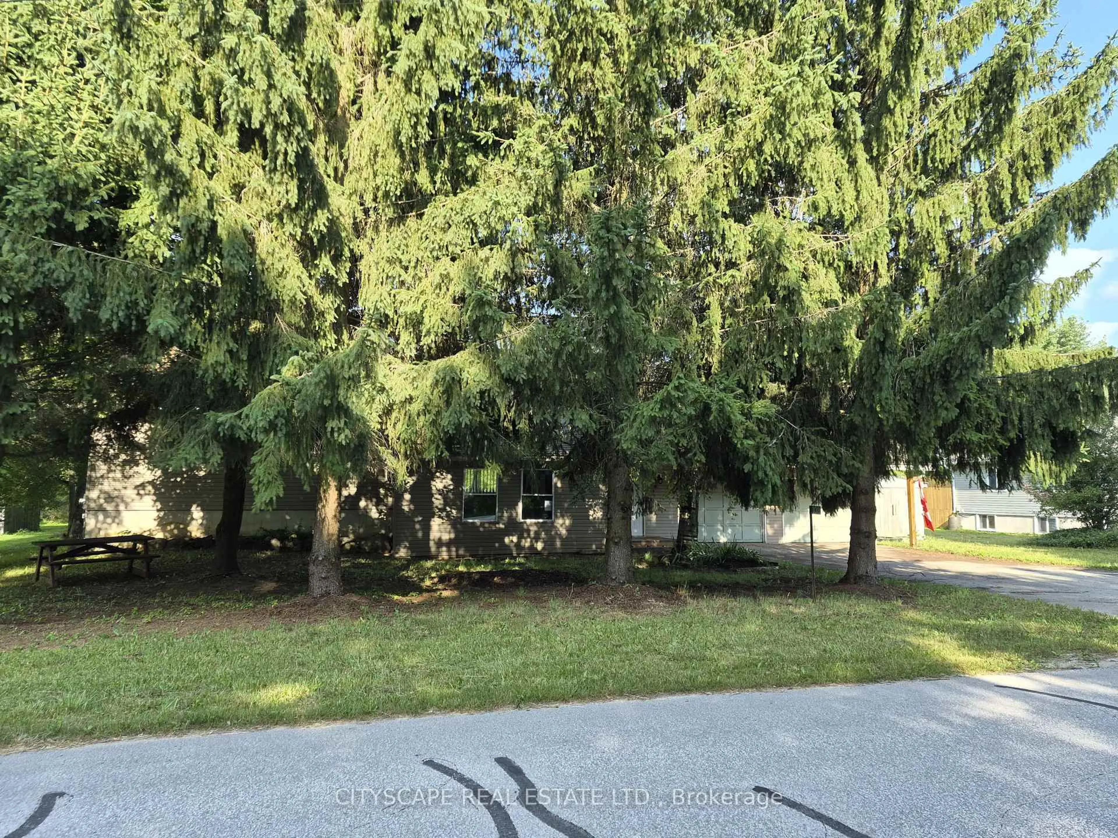 A pic from outside/outdoor area/front of a property/back of a property/a pic from drone, forest/trees view for 108 Gordon St, Chatsworth Ontario N0H 2V0