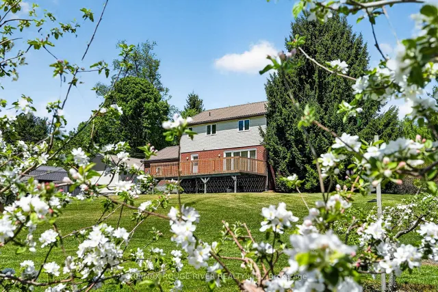 223 TURK Rd, Alnwick/Haldimand 2