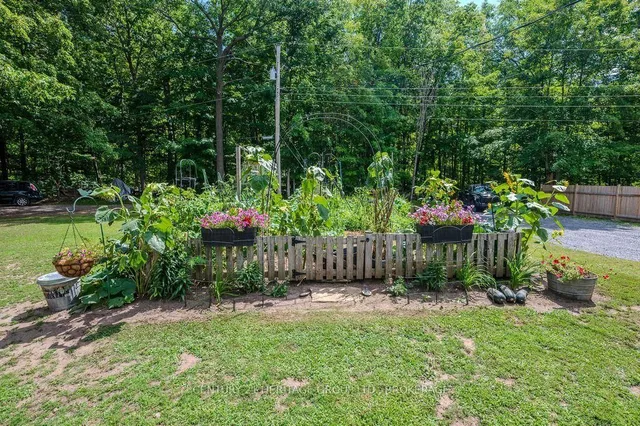 1127 Perry Lane, Sydenham 4