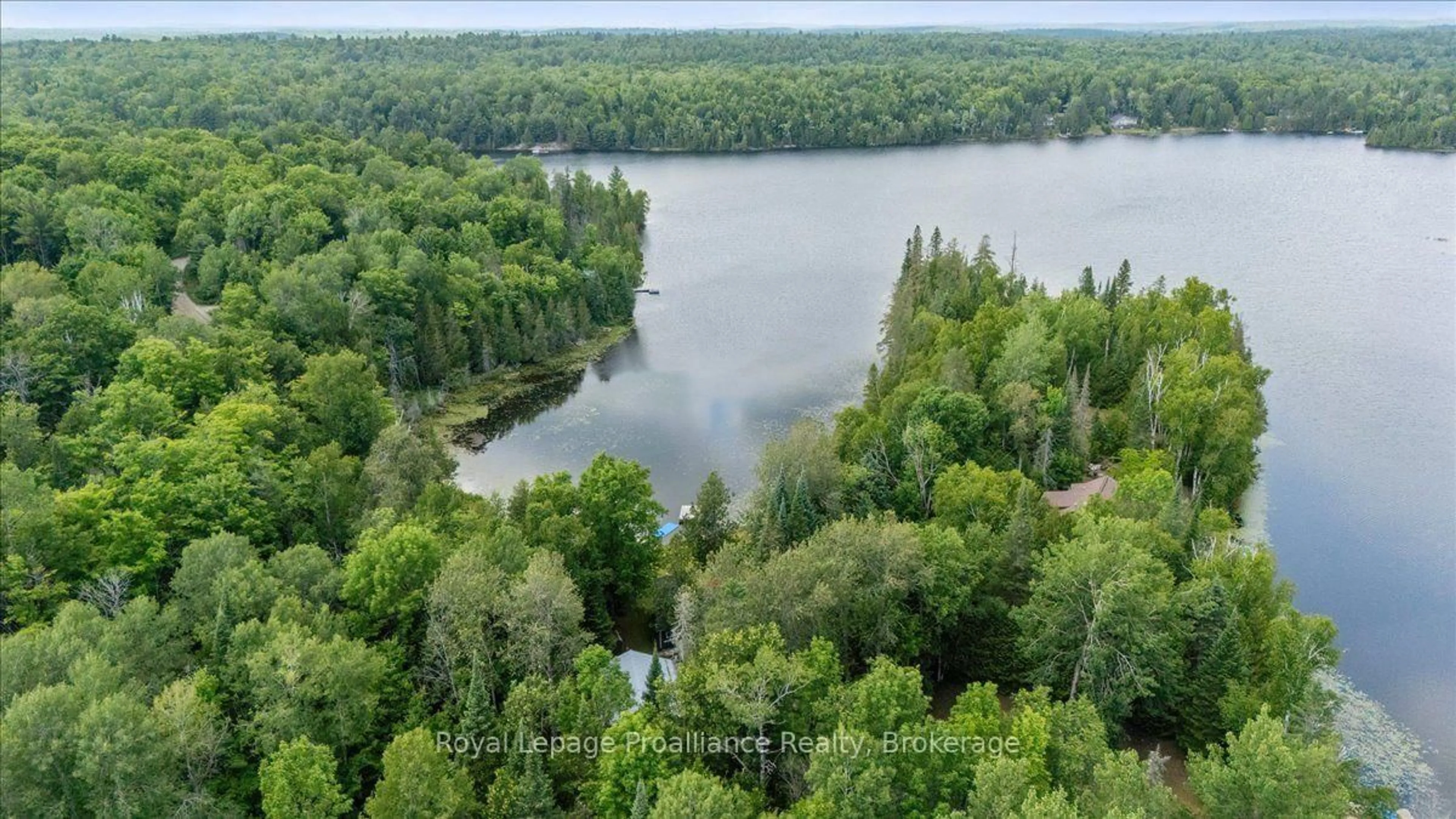 A pic from outside/outdoor area/front of a property/back of a property/a pic from drone, water/lake/river/ocean view for 17 Halcomb Lane, Coe Hill Ontario K0L 1P0
