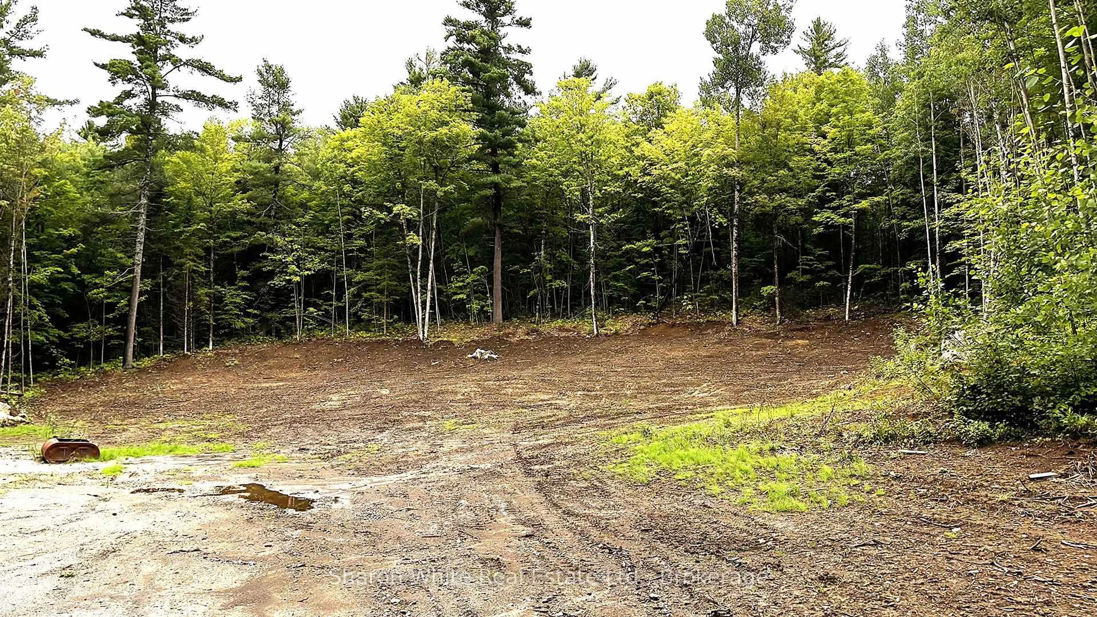 A pic from outside/outdoor area/front of a property/back of a property/a pic from drone, forest/trees view for 204 Grant Rd, Maynooth Ontario K0L 2S0