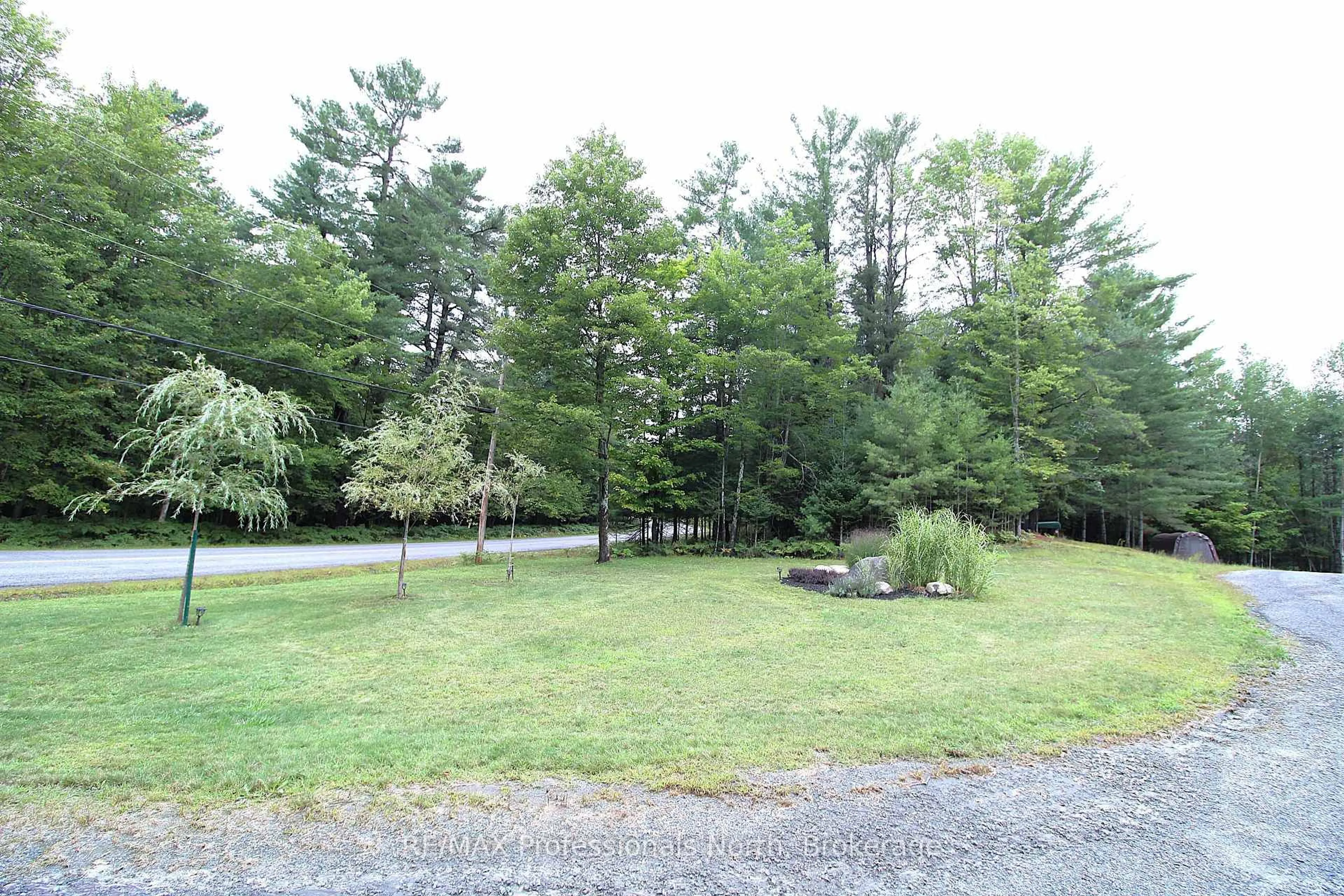 A pic from outside/outdoor area/front of a property/back of a property/a pic from drone, forest/trees view for 1196 Ravenscliffe Rd, Huntsville Ontario P1H 0J3