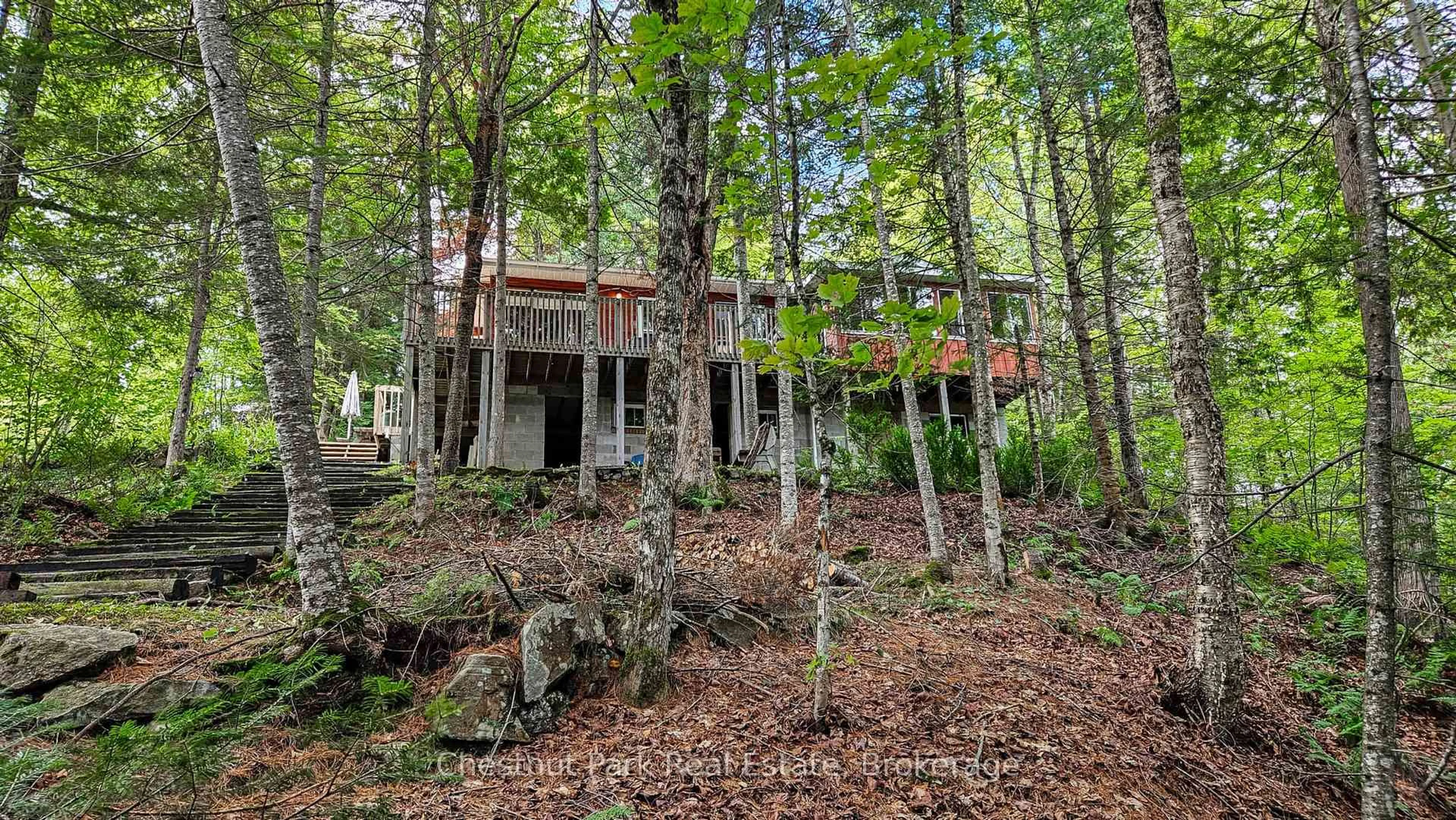 A pic from outside/outdoor area/front of a property/back of a property/a pic from drone, forest/trees view for 1470 Bay Lake Rd, Perry Ontario P0A 1J0