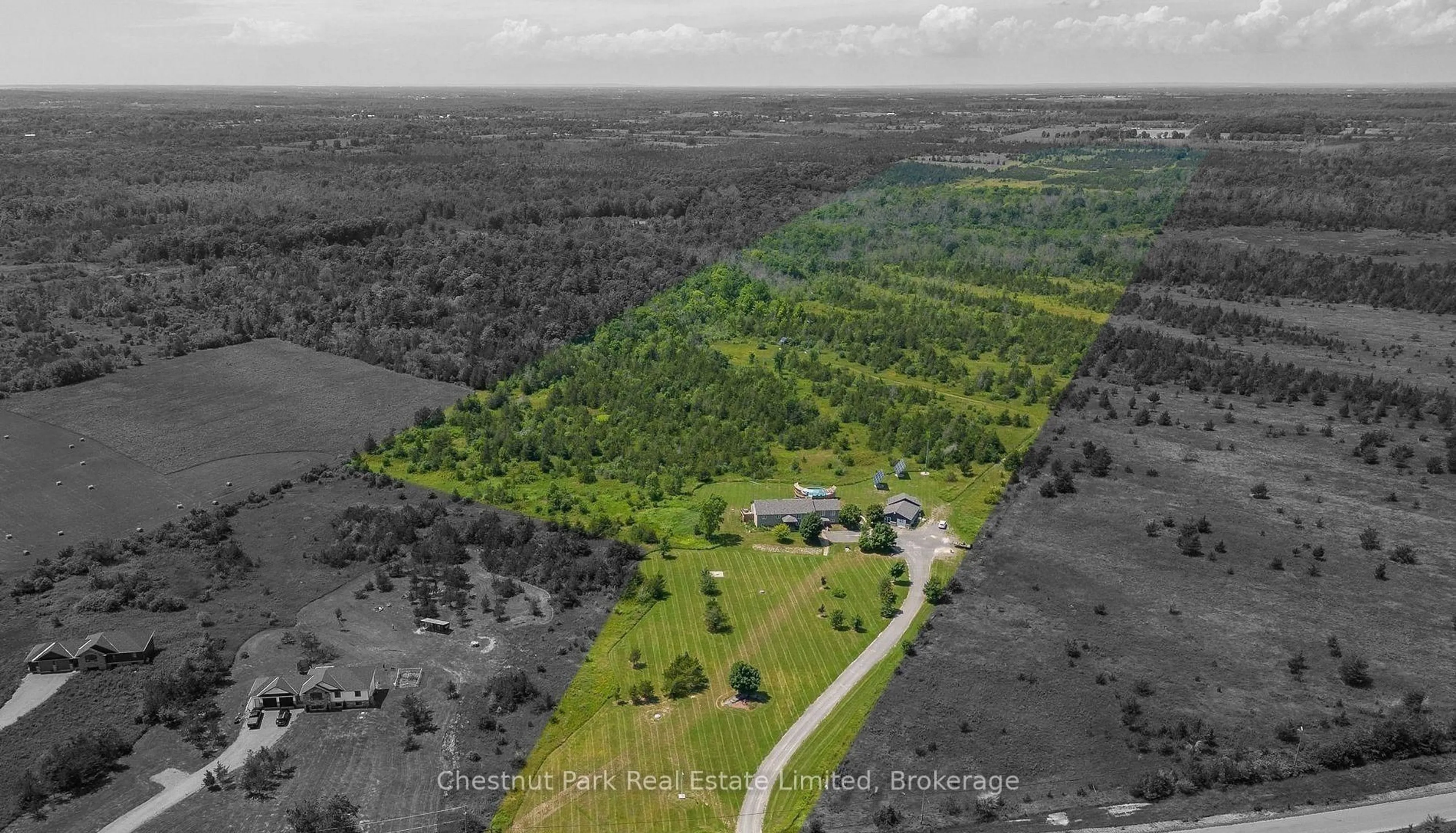 A pic from outside/outdoor area/front of a property/back of a property/a pic from drone, forest/trees view for 1398 Old Milford Rd, Prince Edward County Ontario K0K 2T0