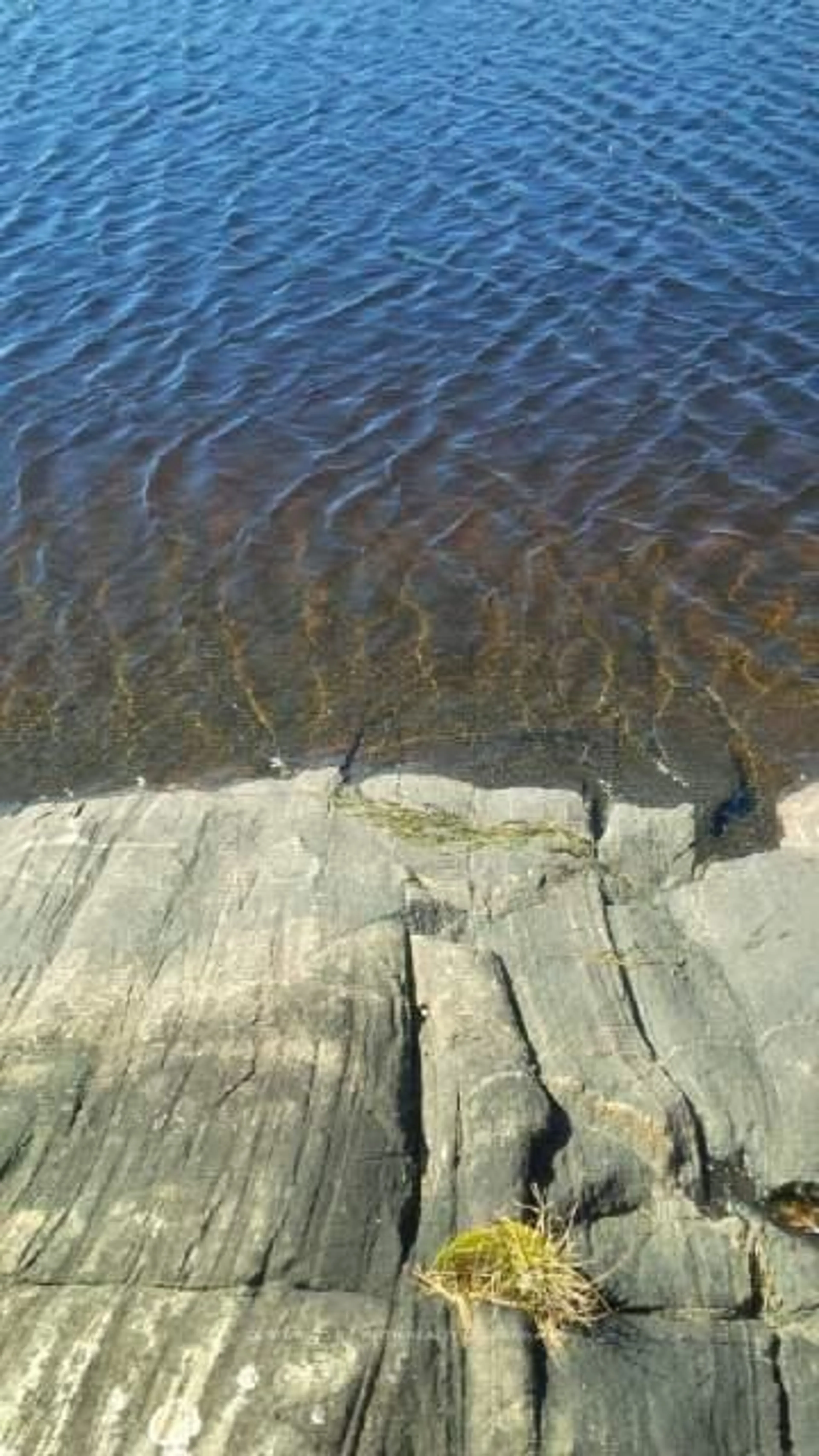 Blurry image for 24 Severn River, Muskoka Lakes Ontario P0E 1G0