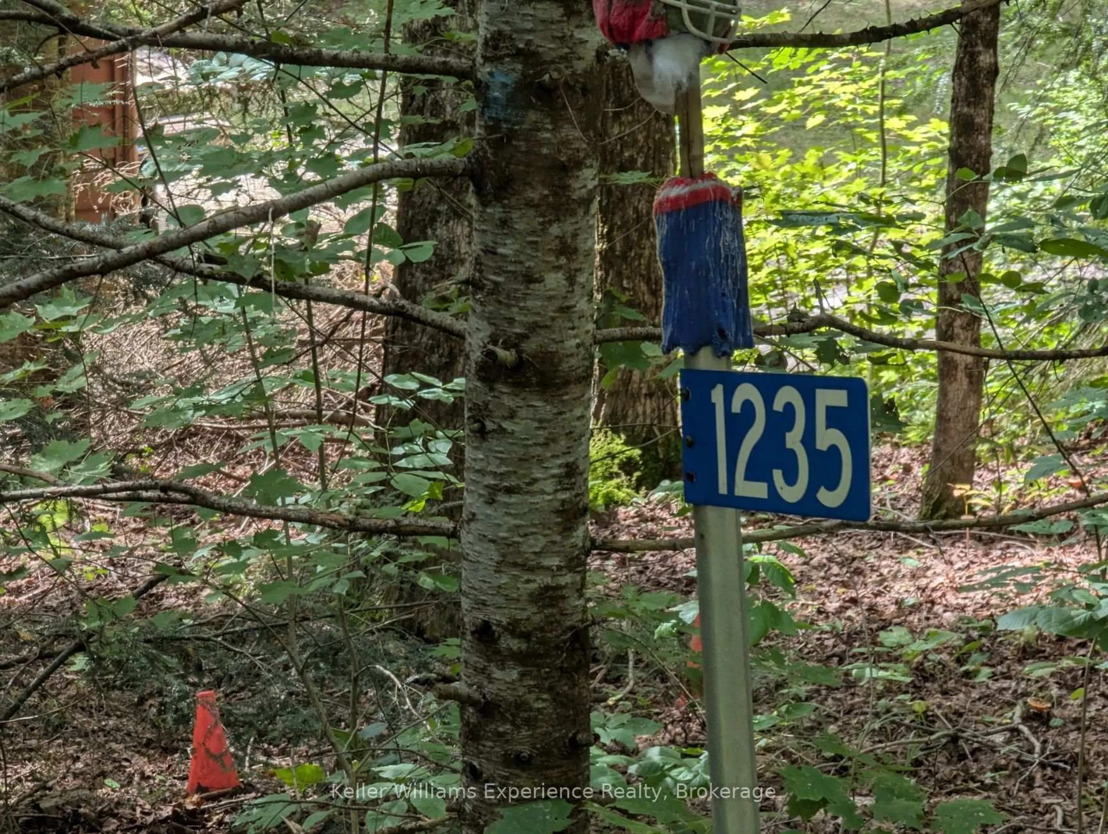 Blurry image for 1235 Staunton Road Private, Bracebridge Ontario P1L 1X3