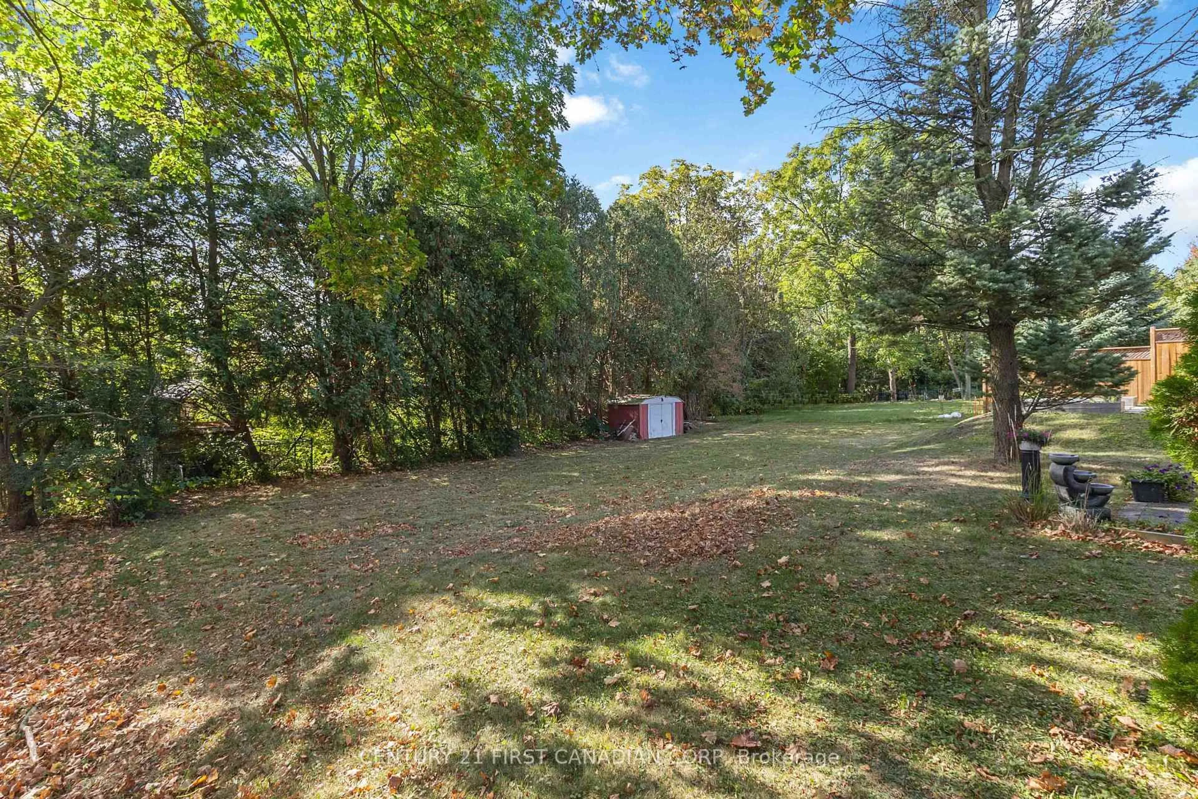 A pic from outside/outdoor area/front of a property/back of a property/a pic from drone, forest/trees view for 296 Sarnia Rd, London North Ontario N6G 1N3