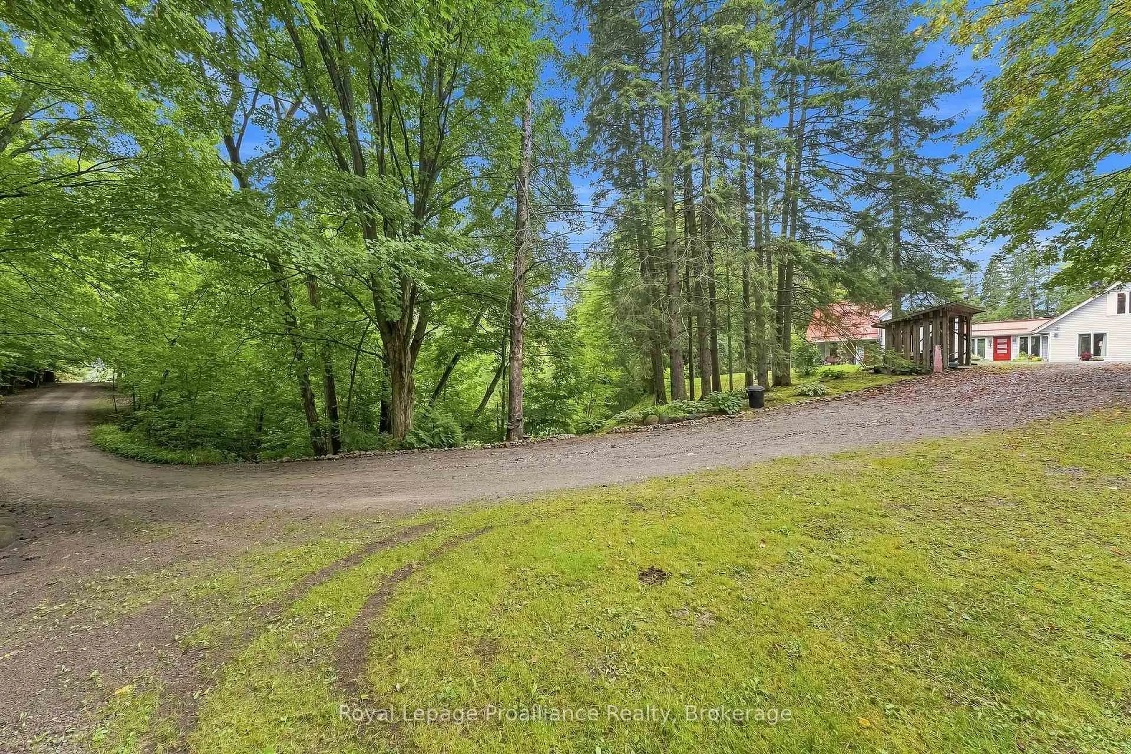 A pic from outside/outdoor area/front of a property/back of a property/a pic from drone, forest/trees view for 178 Oak Hill Rd, Port Hope Ontario L0A 1B0