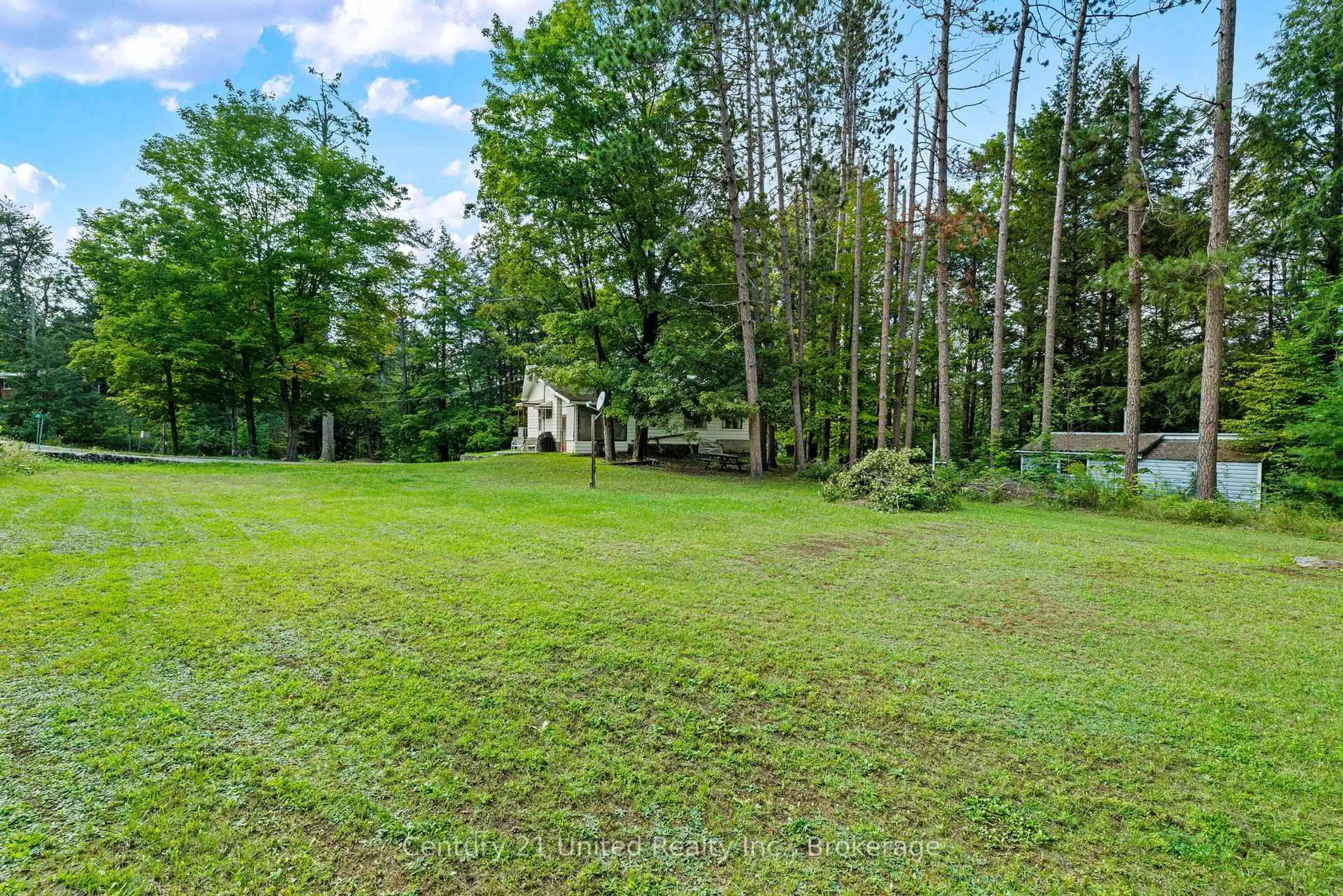 A pic from outside/outdoor area/front of a property/back of a property/a pic from drone, forest/trees view for 49 Mcfadden Rd, North Kawartha Ontario K0L 1A0