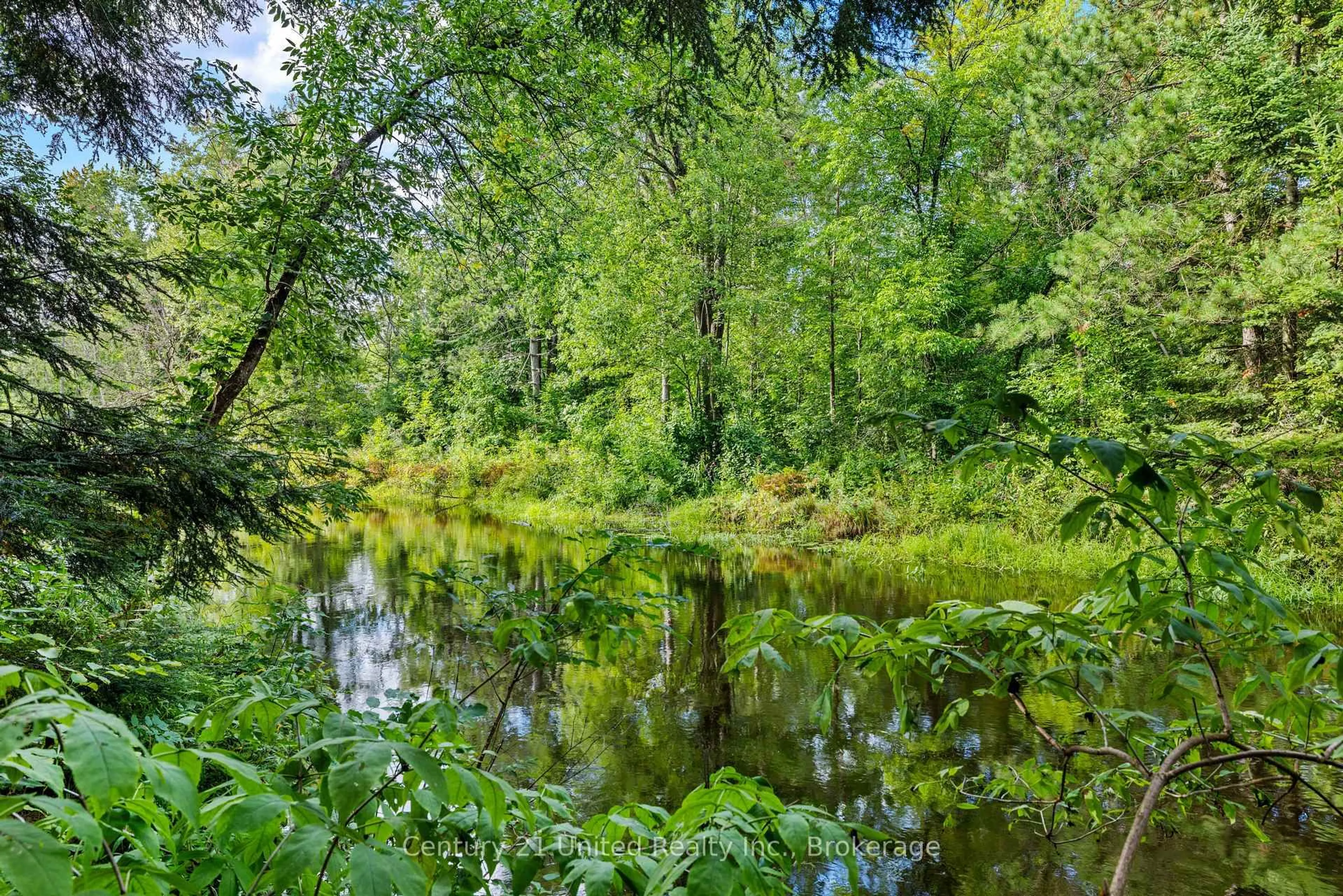 Unknown for 49 Mcfadden Rd, North Kawartha Ontario K0L 1A0
