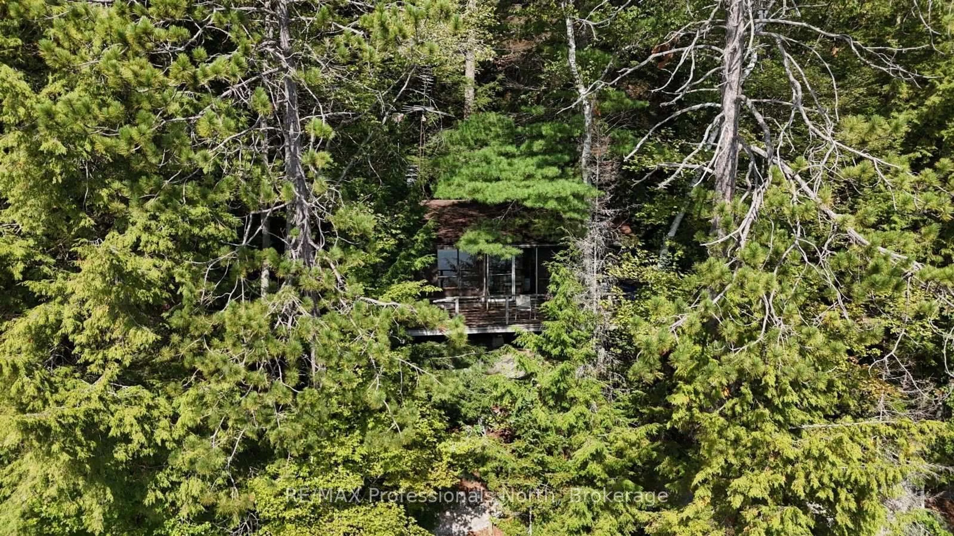 A pic from outside/outdoor area/front of a property/back of a property/a pic from drone, forest/trees view for 1019 Arrowhead Dr, Highlands East Ontario K0M 1S0