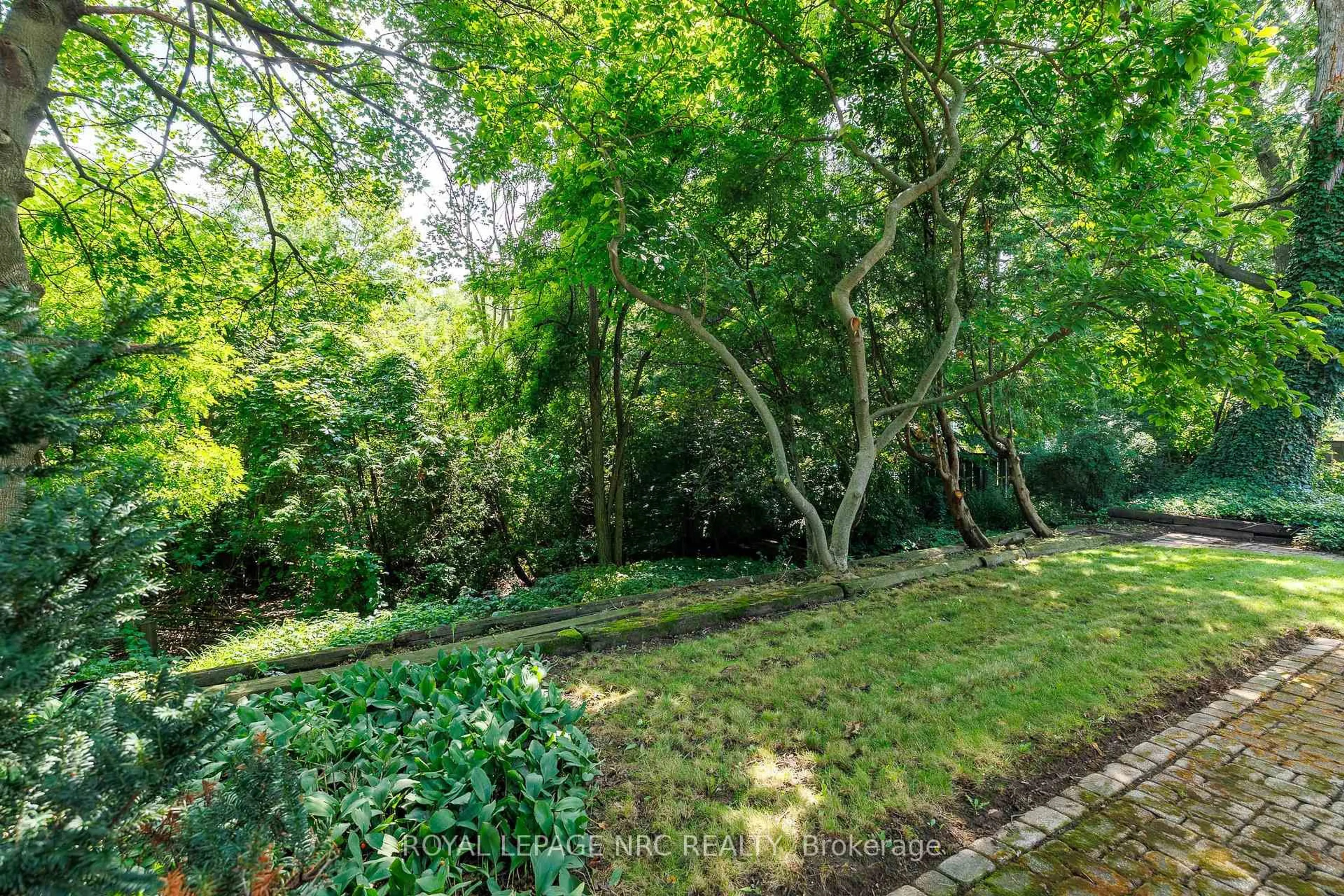 A pic from outside/outdoor area/front of a property/back of a property/a pic from drone, forest/trees view for 206 Parnell Rd, St. Catharines Ontario L2M 1V6