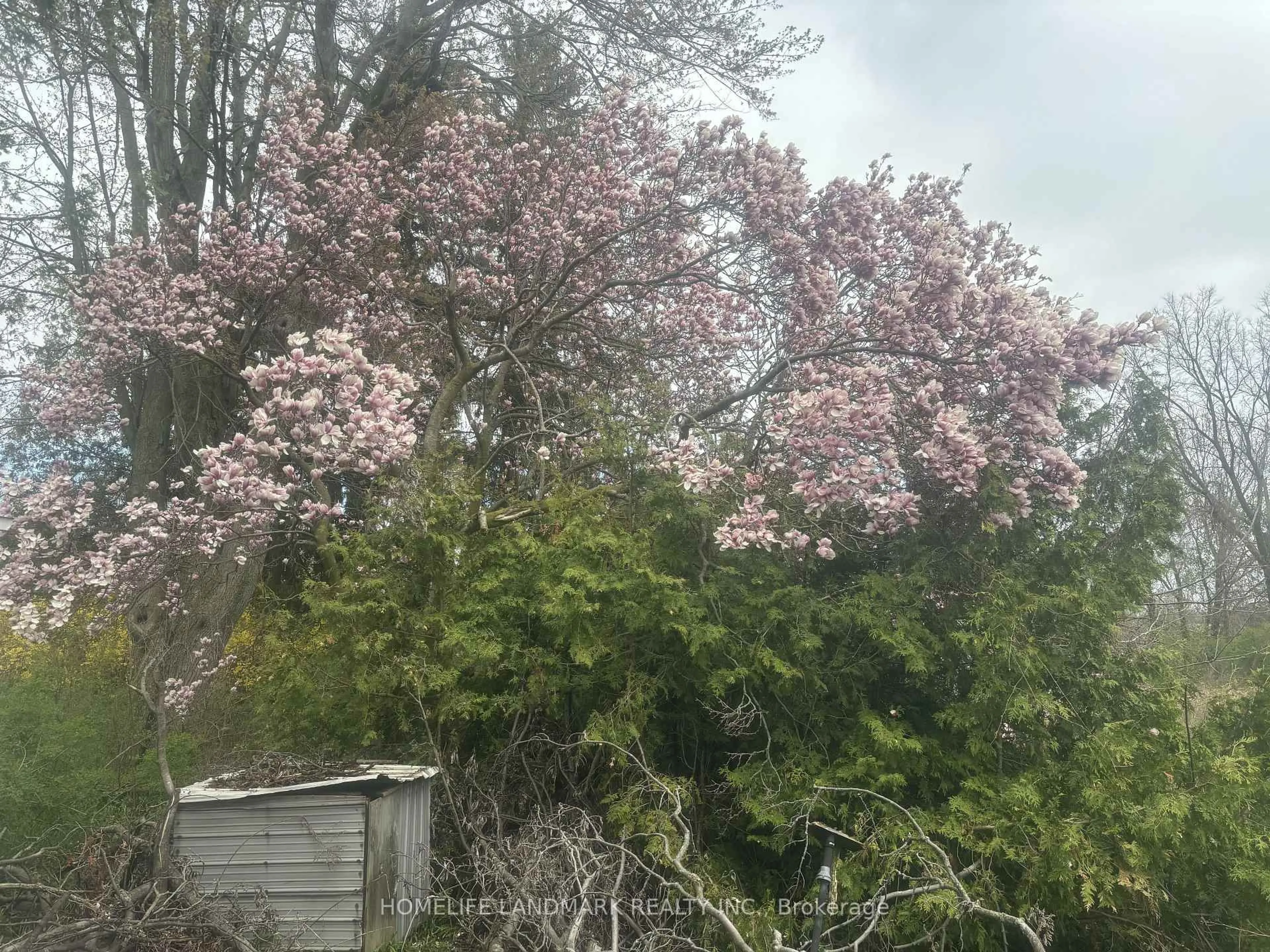 Shed for 18 Burford-Delhi Townline Rd, Brant Ontario N0E 1R0