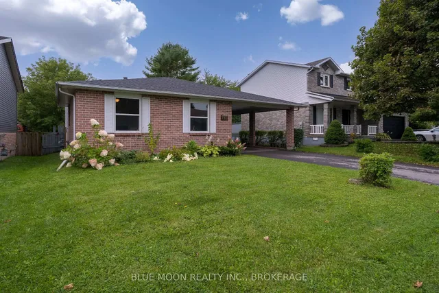 195 Splinter Crt, Kingston 2