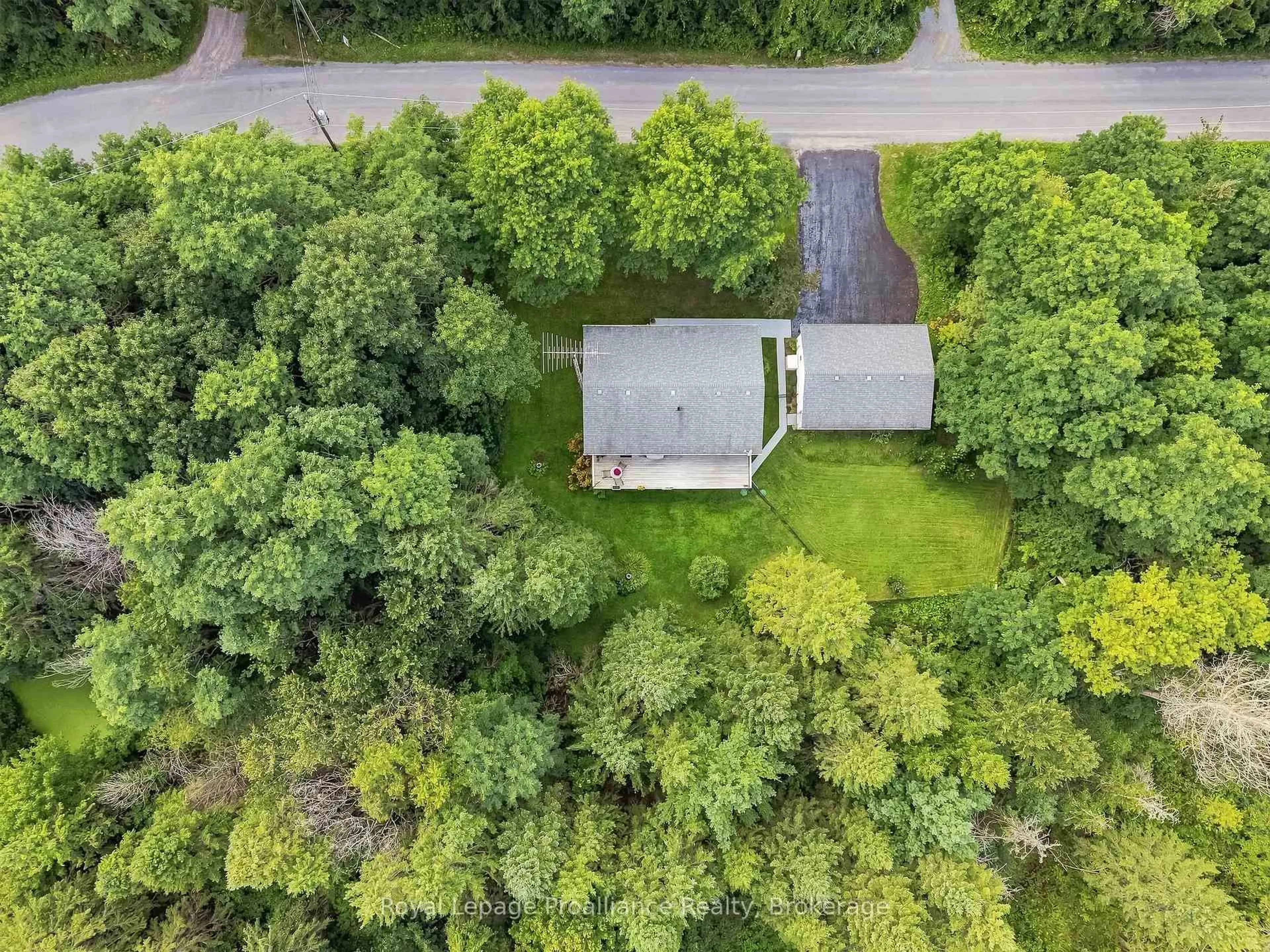 A pic from outside/outdoor area/front of a property/back of a property/a pic from drone, forest/trees view for 1528 Pinewood School Rd, Brighton Ontario K0K 1R0