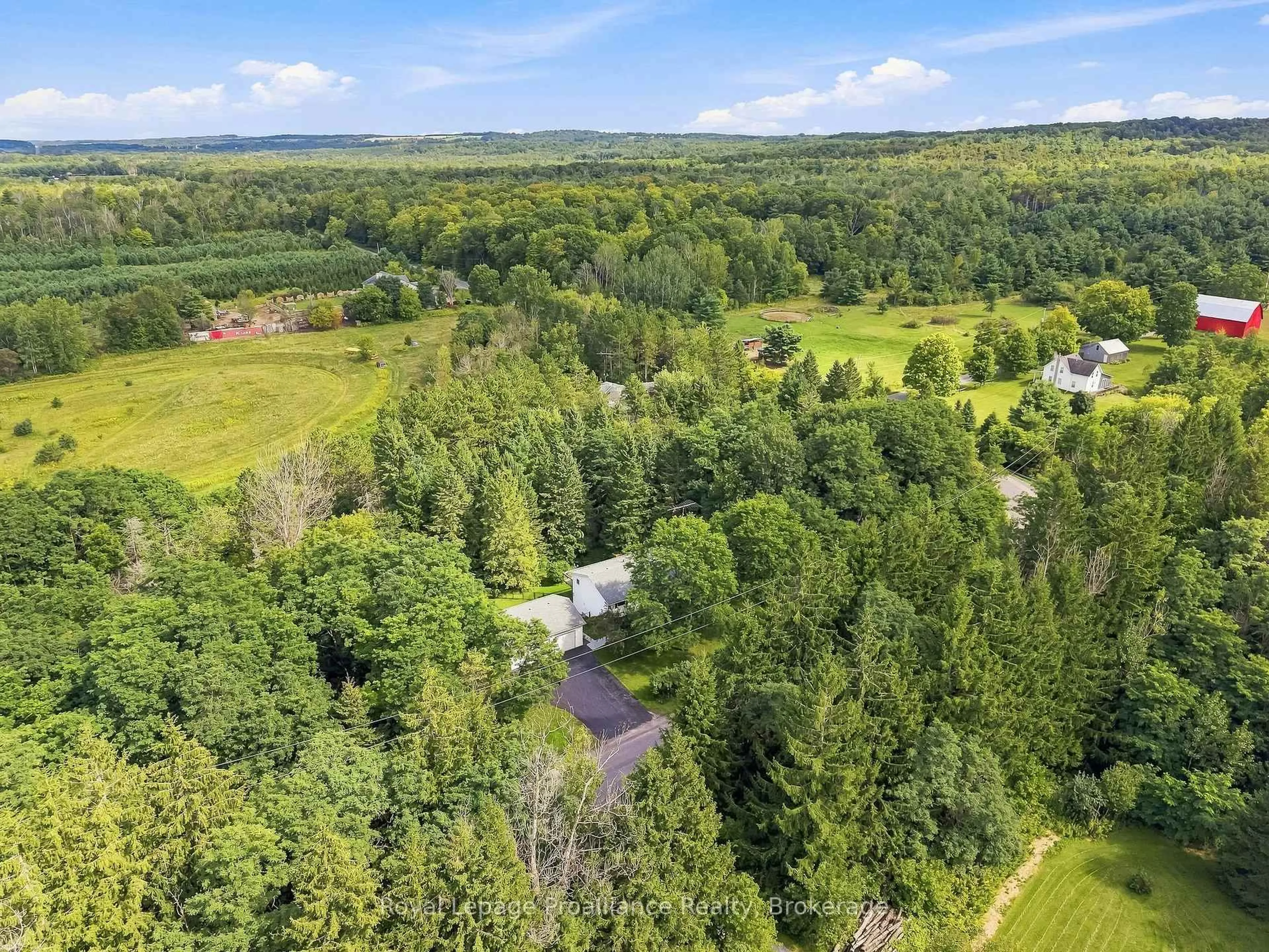 A pic from outside/outdoor area/front of a property/back of a property/a pic from drone, forest/trees view for 1528 Pinewood School Rd, Brighton Ontario K0K 1R0