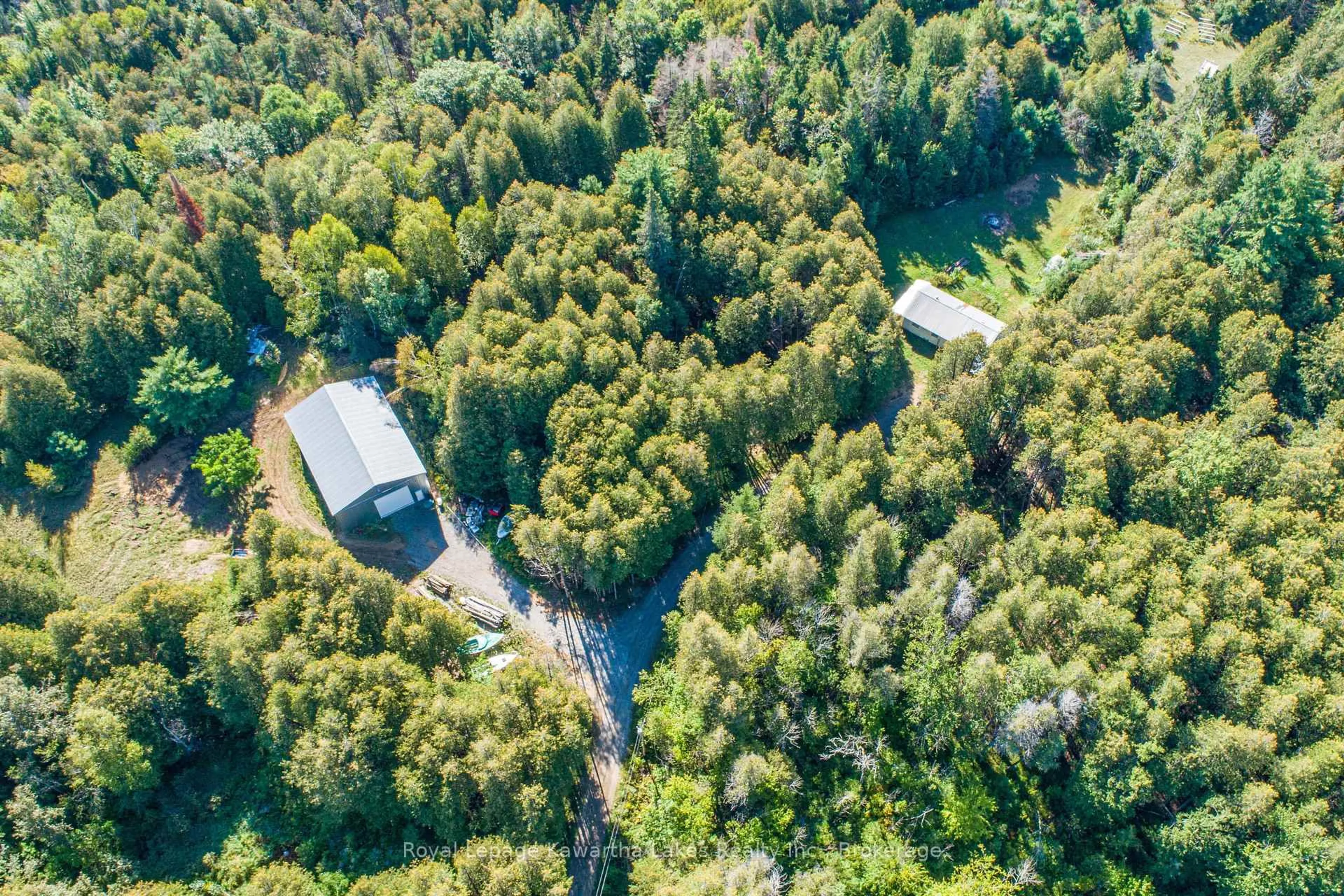 A pic from outside/outdoor area/front of a property/back of a property/a pic from drone, forest/trees view for 244 Dutch Line Rd, Trent Lakes Ontario K0M 2A0