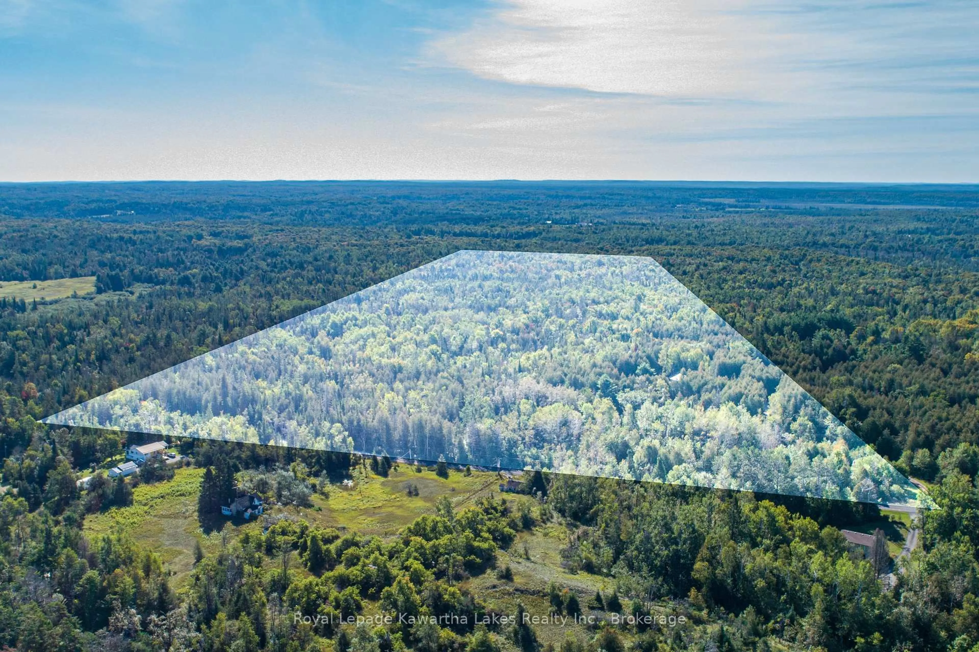 A pic from outside/outdoor area/front of a property/back of a property/a pic from drone, forest/trees view for 244 Dutch Line Rd, Trent Lakes Ontario K0M 2A0