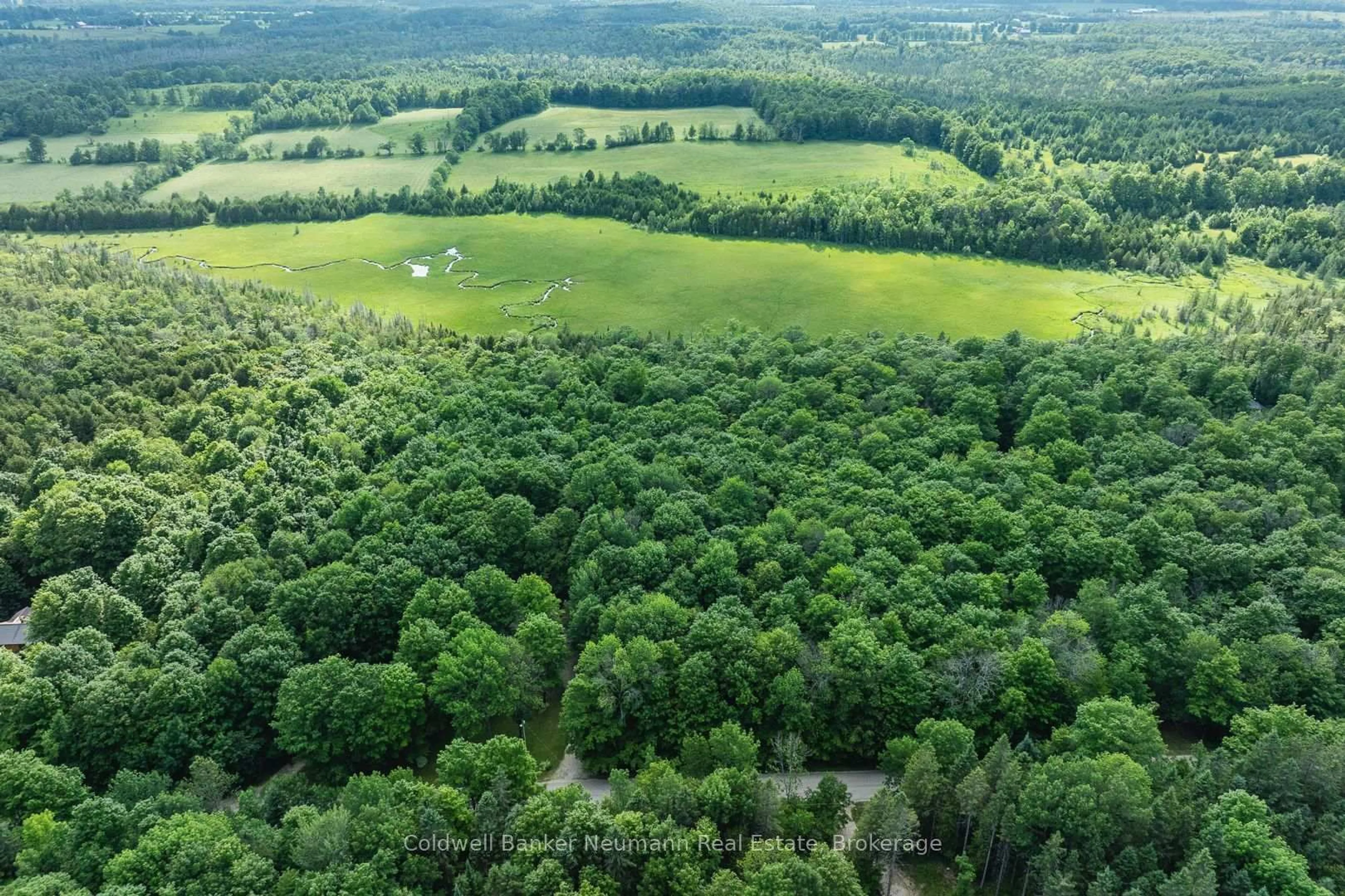 A pic from outside/outdoor area/front of a property/back of a property/a pic from drone, forest/trees view for 574286 Sideroad 40, West Grey Ontario N0C 1H0