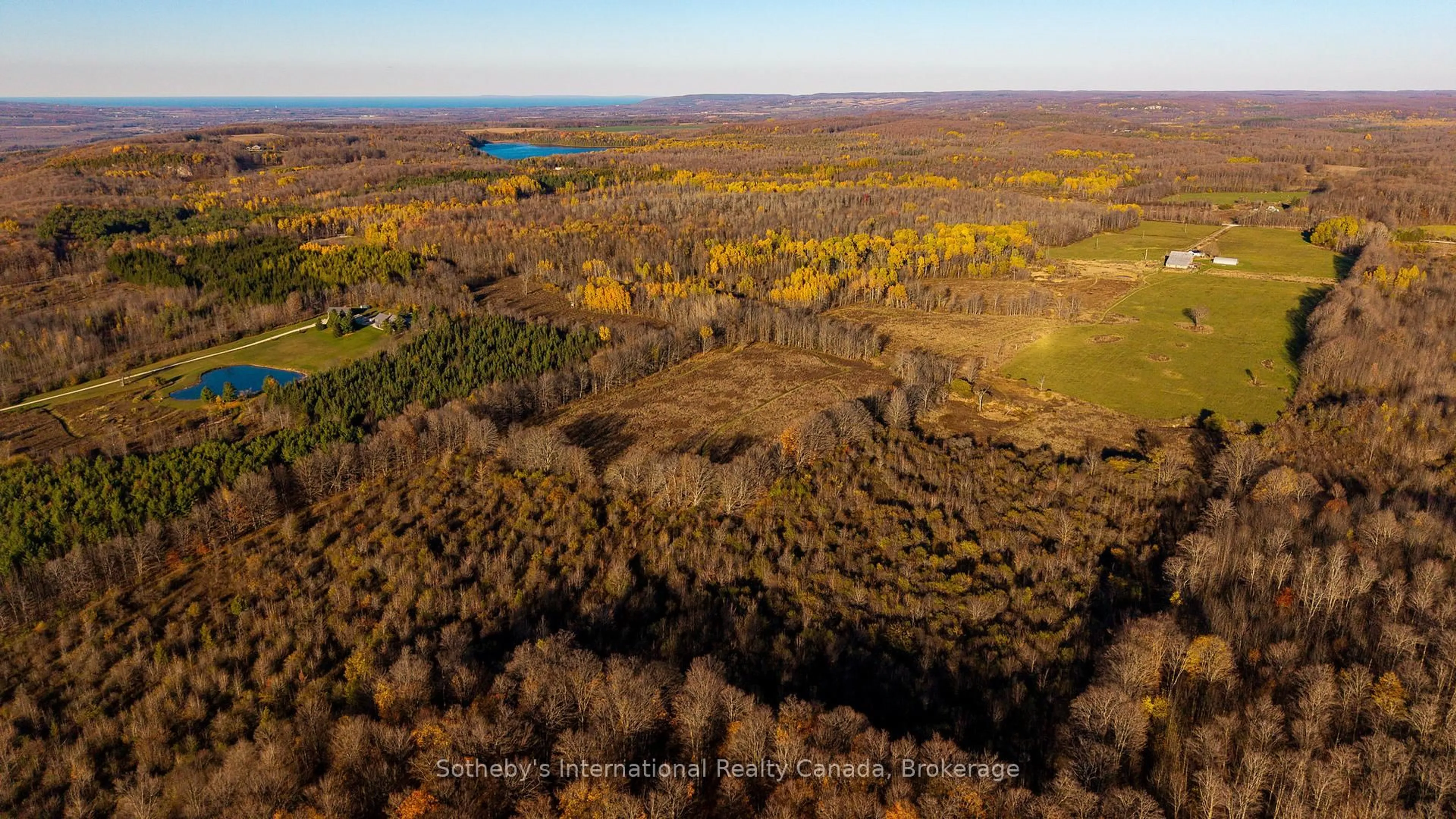 A pic from outside/outdoor area/front of a property/back of a property/a pic from drone, forest/trees view for 315298 3rd Line A, Grey Highlands Ontario N0C 1E0