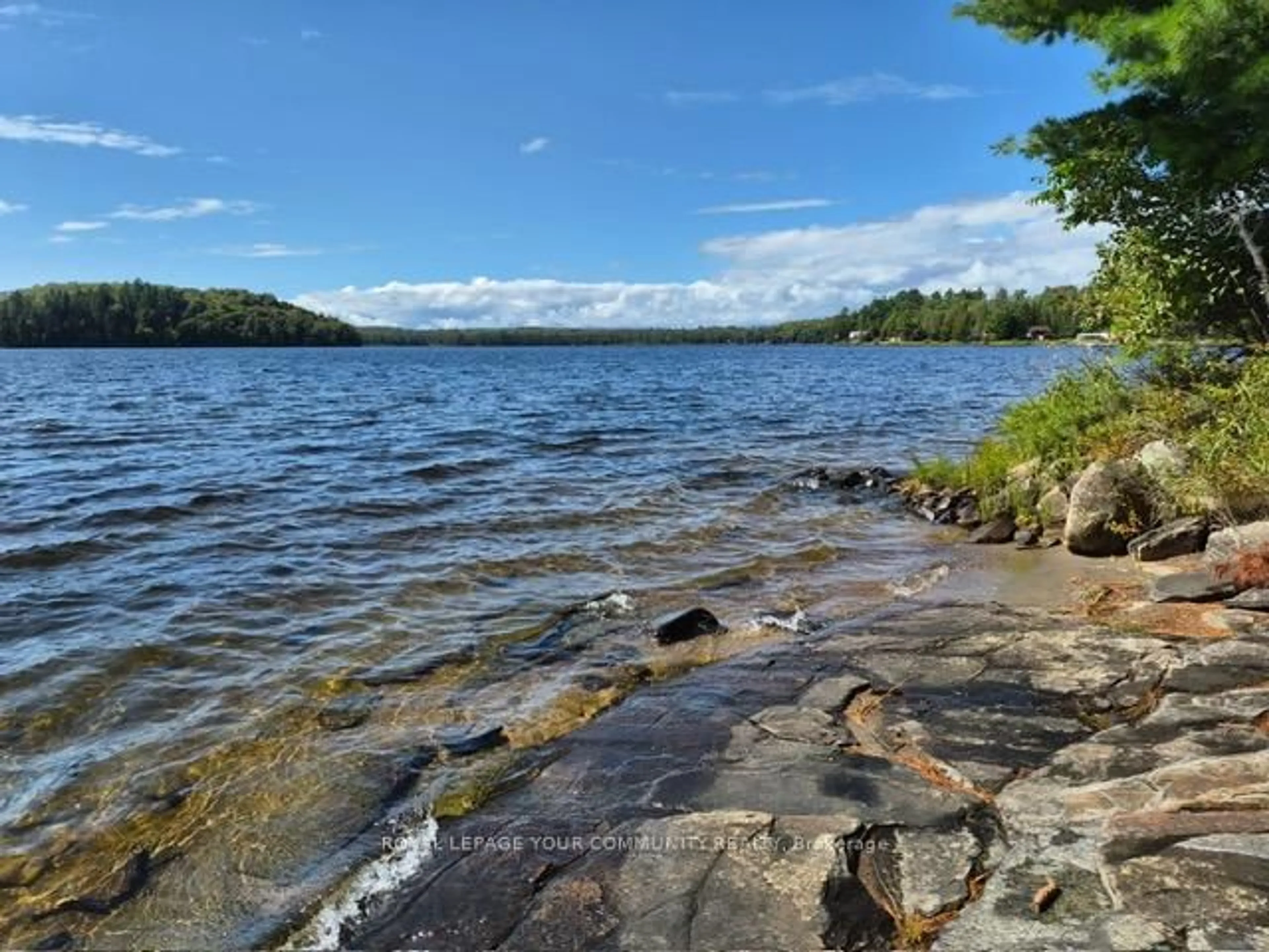 Unknown for 2193 Fern Glen Rd, McMurrich/Monteith Ontario P0A 1J0