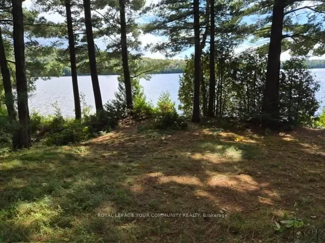 2193 Fern Glen Rd, McMurrich/Monteith 3