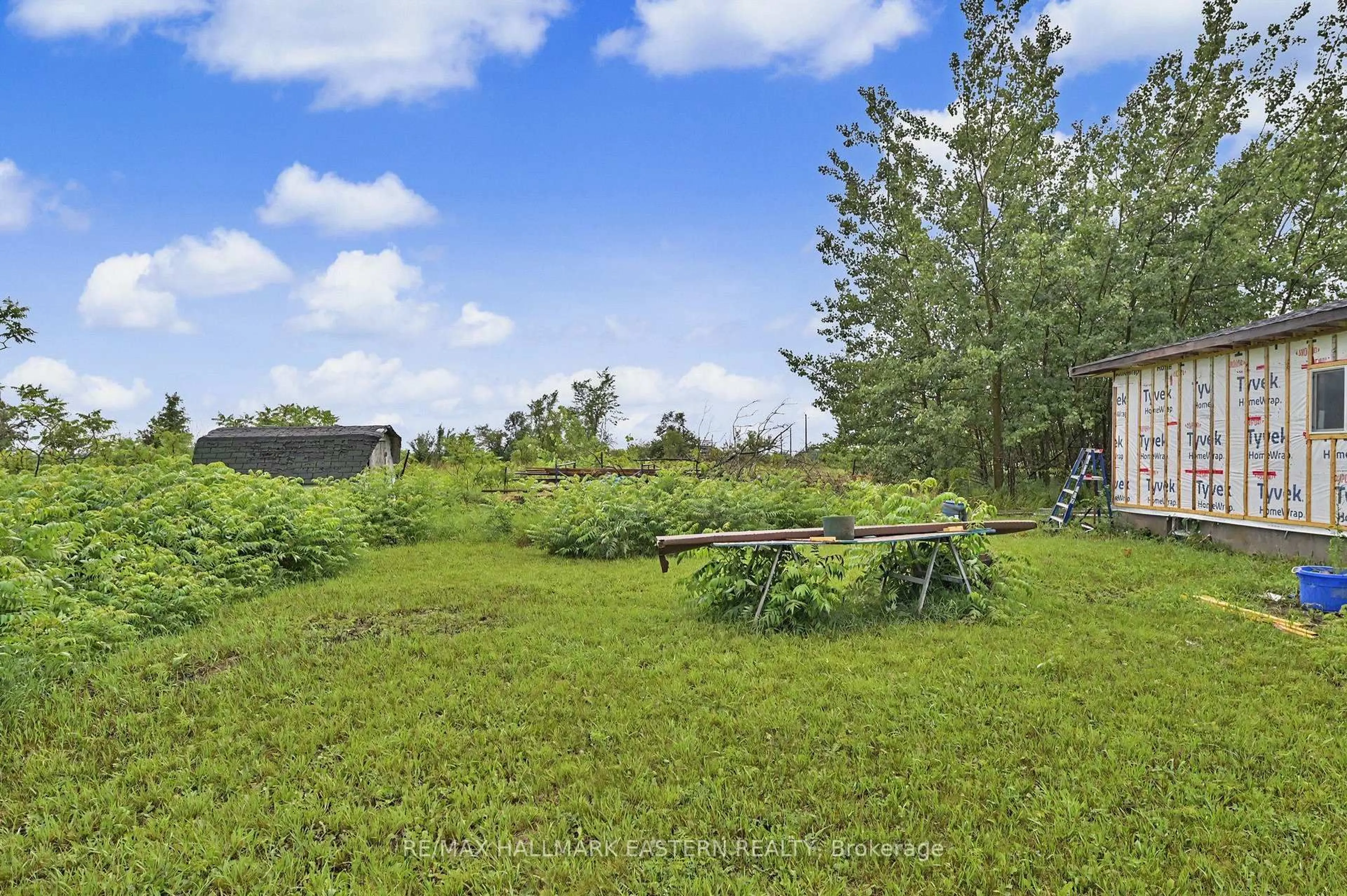 A pic from outside/outdoor area/front of a property/back of a property/a pic from drone, forest/trees view for 2260 Buckhorn Rd, Selwyn Ontario K0L 2H0