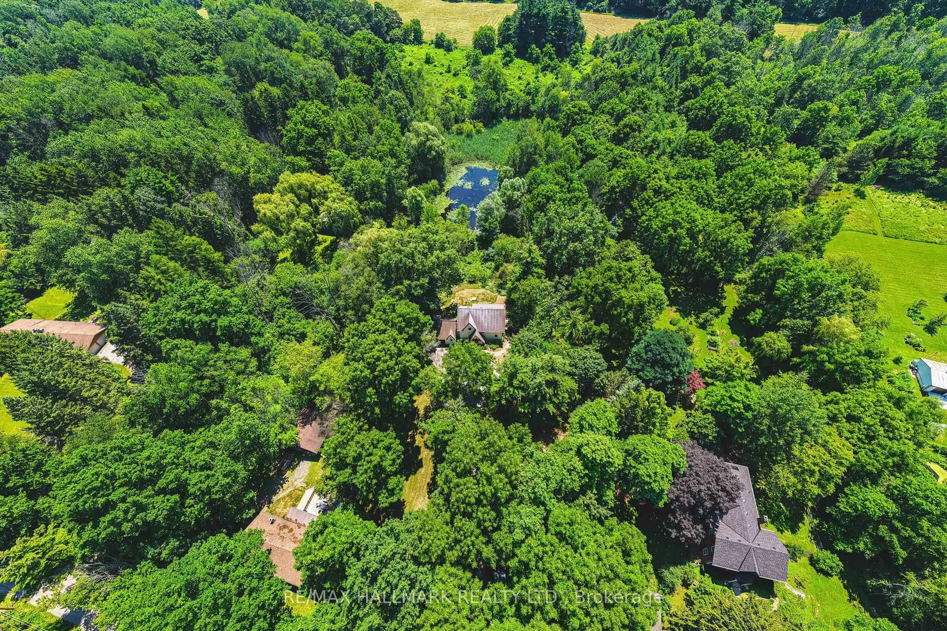 A pic from outside/outdoor area/front of a property/back of a property/a pic from drone, forest/trees view for 1548 Mineral Springs Rd, Hamilton Ontario L9H 5E3