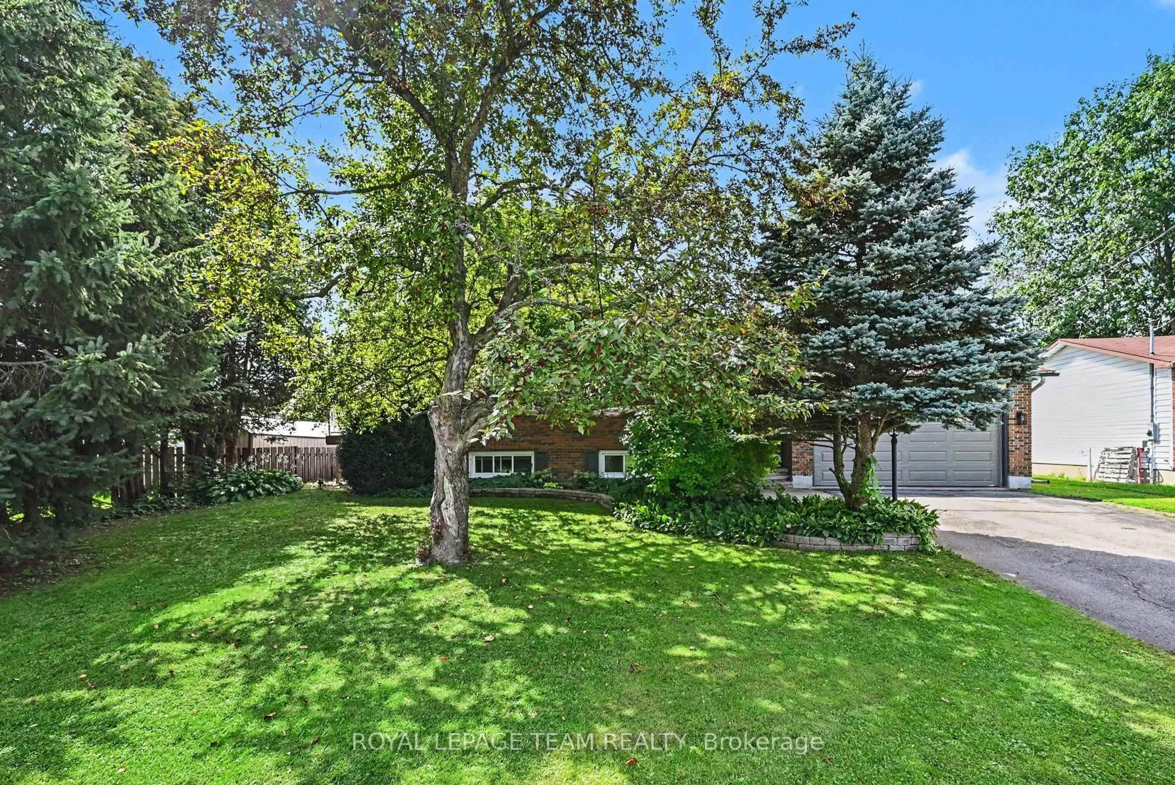 A pic from outside/outdoor area/front of a property/back of a property/a pic from drone, forest/trees view for 204 Grace Ave, Russell Ontario K4R 1B4