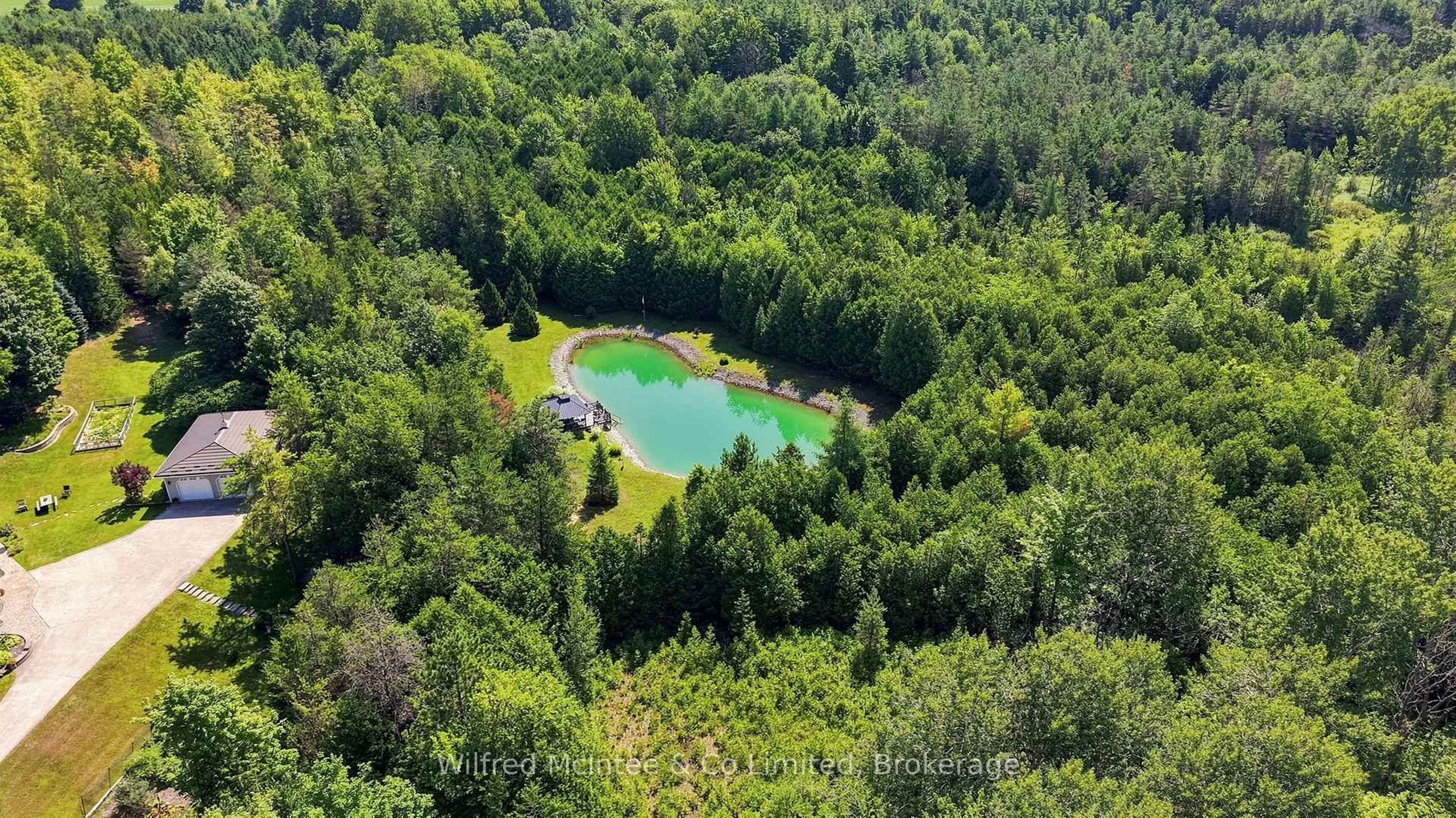 A pic from outside/outdoor area/front of a property/back of a property/a pic from drone, forest/trees view for 073091 10TH SIDEROAD SDR, West Grey Ontario N4N 3B8
