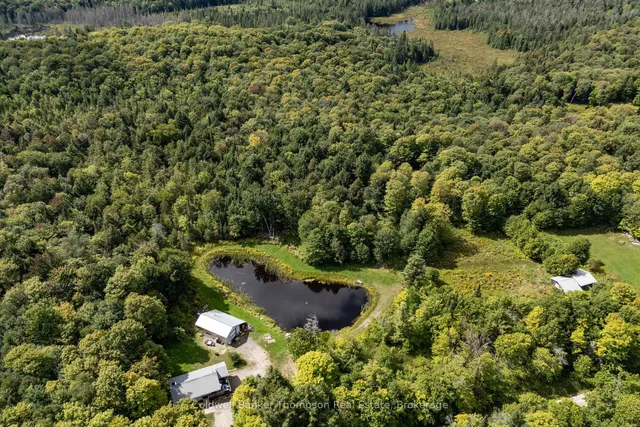 178 Bartlett Lake Rd, Ryerson 2