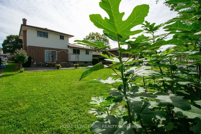 7 Dolly Circ, St. Catharines 3