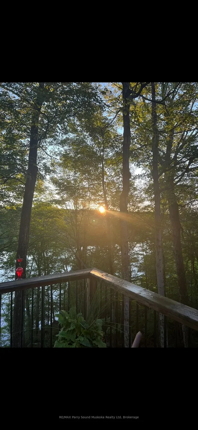 621 Deer Run Rd, Magnetawan 3