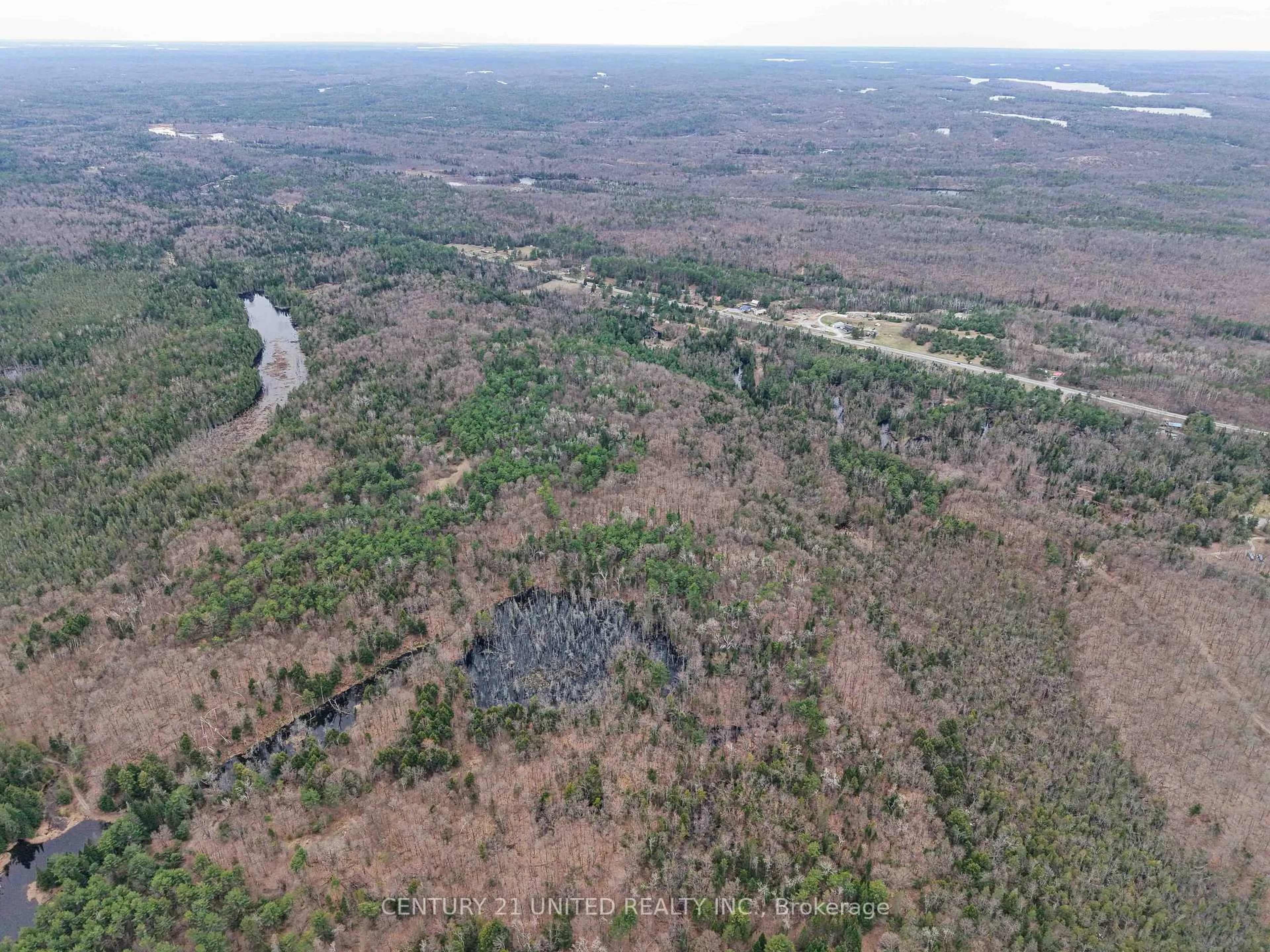 A pic from outside/outdoor area/front of a property/back of a property/a pic from drone, forest/trees view for 9559 Hwy 28, North Kawartha Ontario K0L 1A0