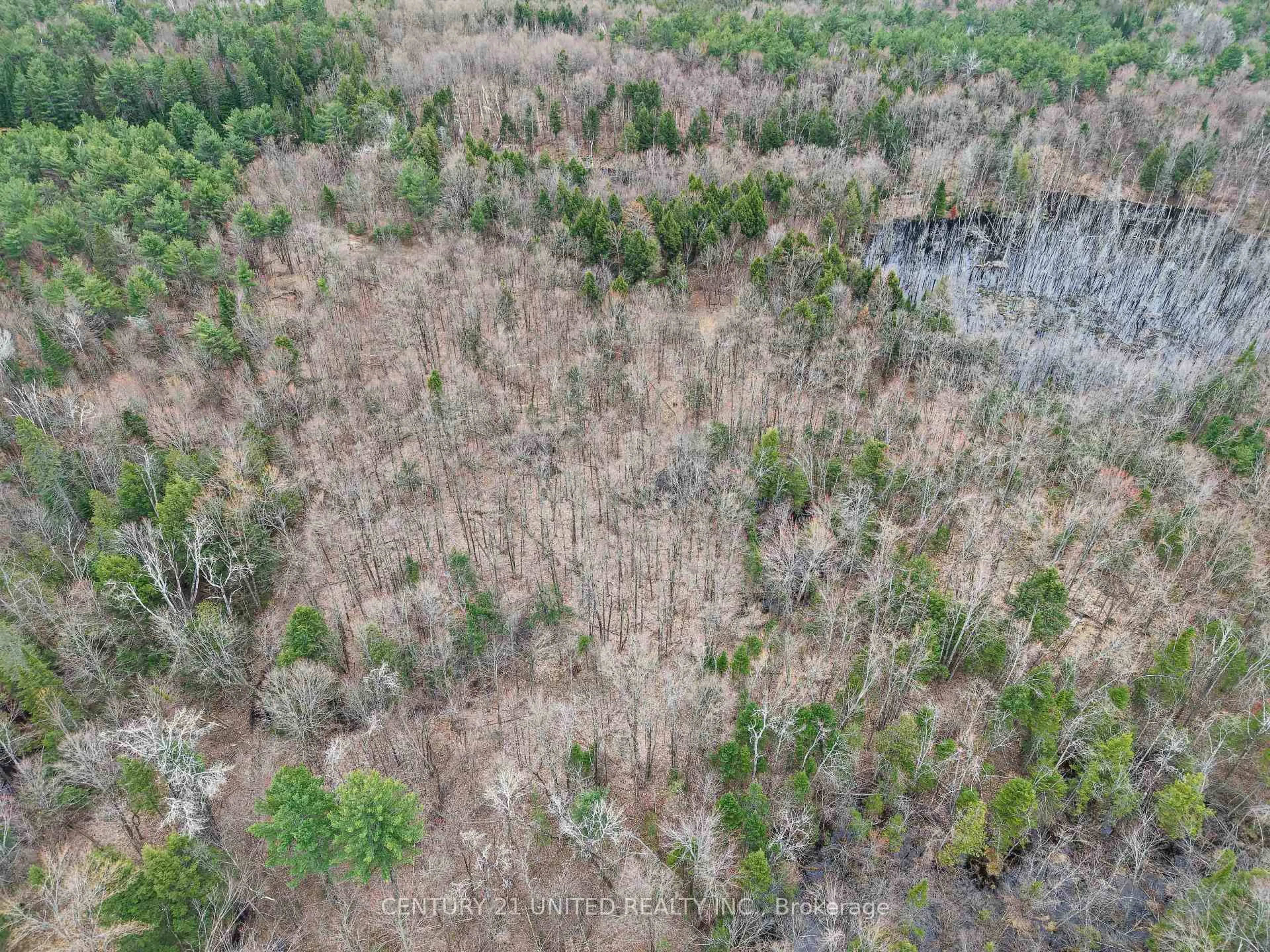 A pic from outside/outdoor area/front of a property/back of a property/a pic from drone, forest/trees view for 9559 Hwy 28, North Kawartha Ontario K0L 1A0