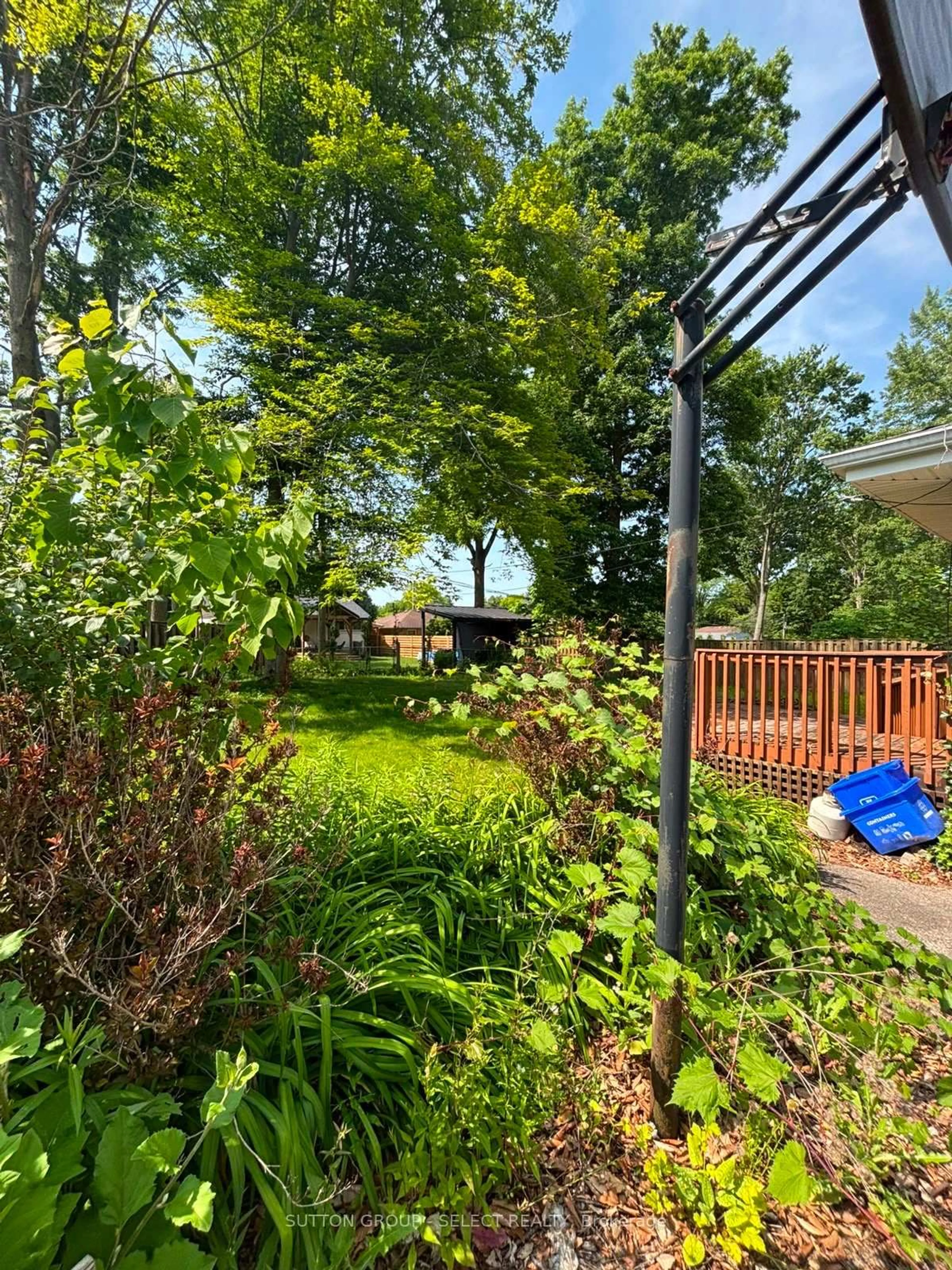 A pic from outside/outdoor area/front of a property/back of a property/a pic from drone, forest/trees view for 316 Ridgewood Cres, London South Ontario N6J 3G6