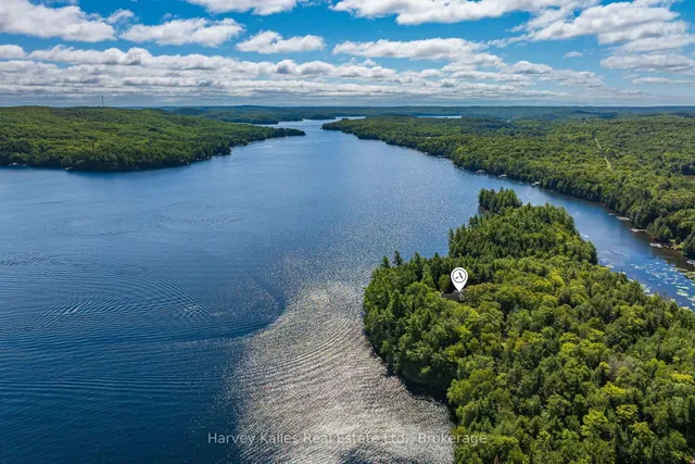1353 Port Cunnington Rd, Lake of Bays 5