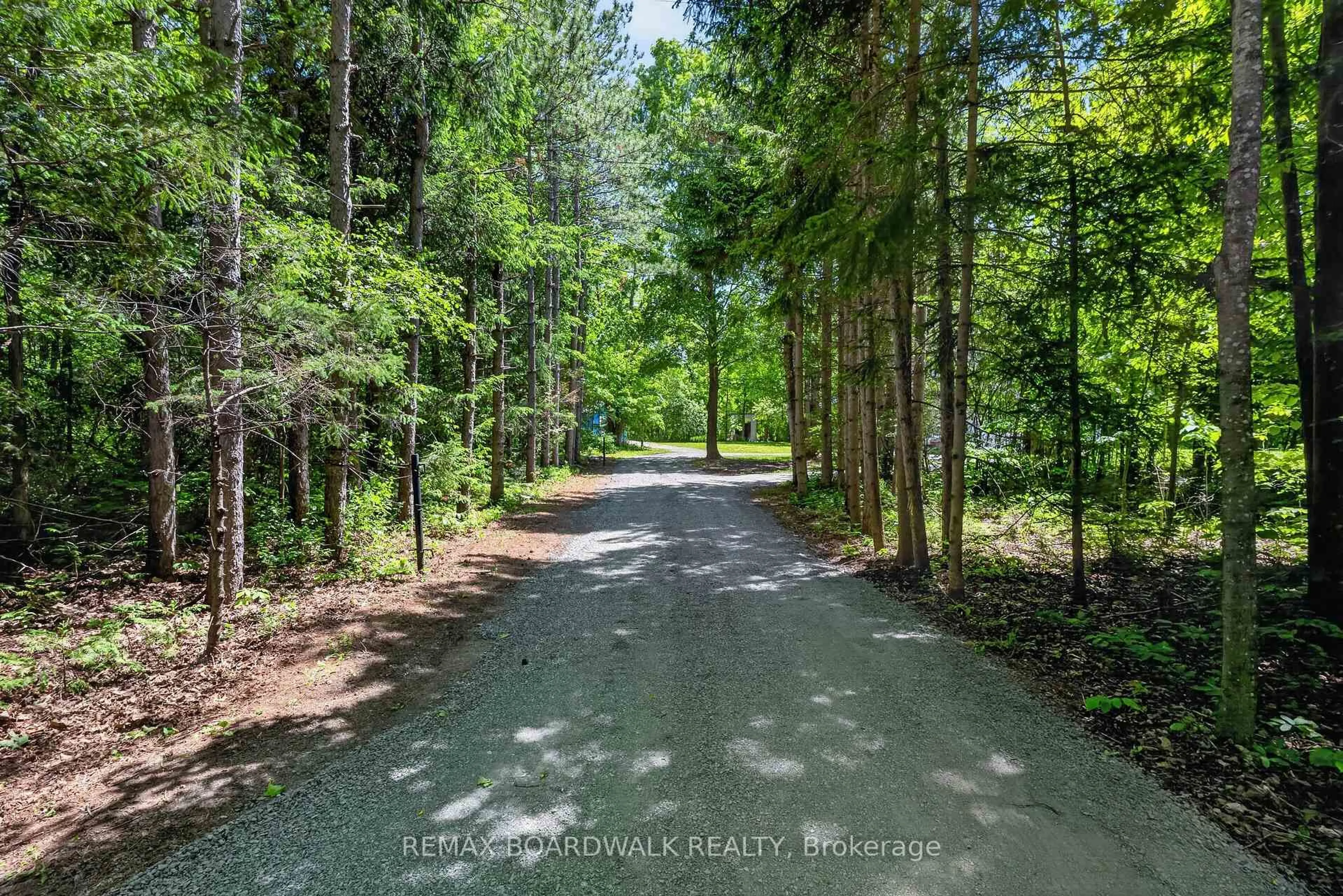 A pic from outside/outdoor area/front of a property/back of a property/a pic from drone, forest/trees view for 14930 Concession 10-11 Rd, North Stormont Ontario K0A 1R0