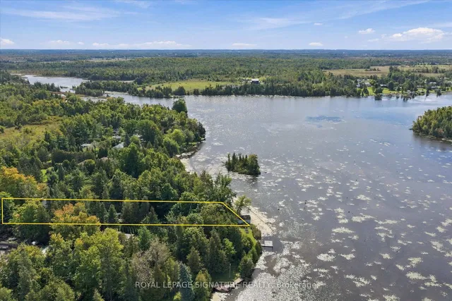 32 Hargrave Rd, Kawartha Lakes 4